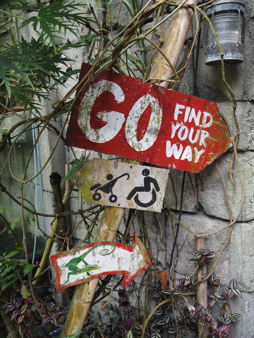 Jungola - Butterfly temple - Signage for adventure route, 2024-06-23