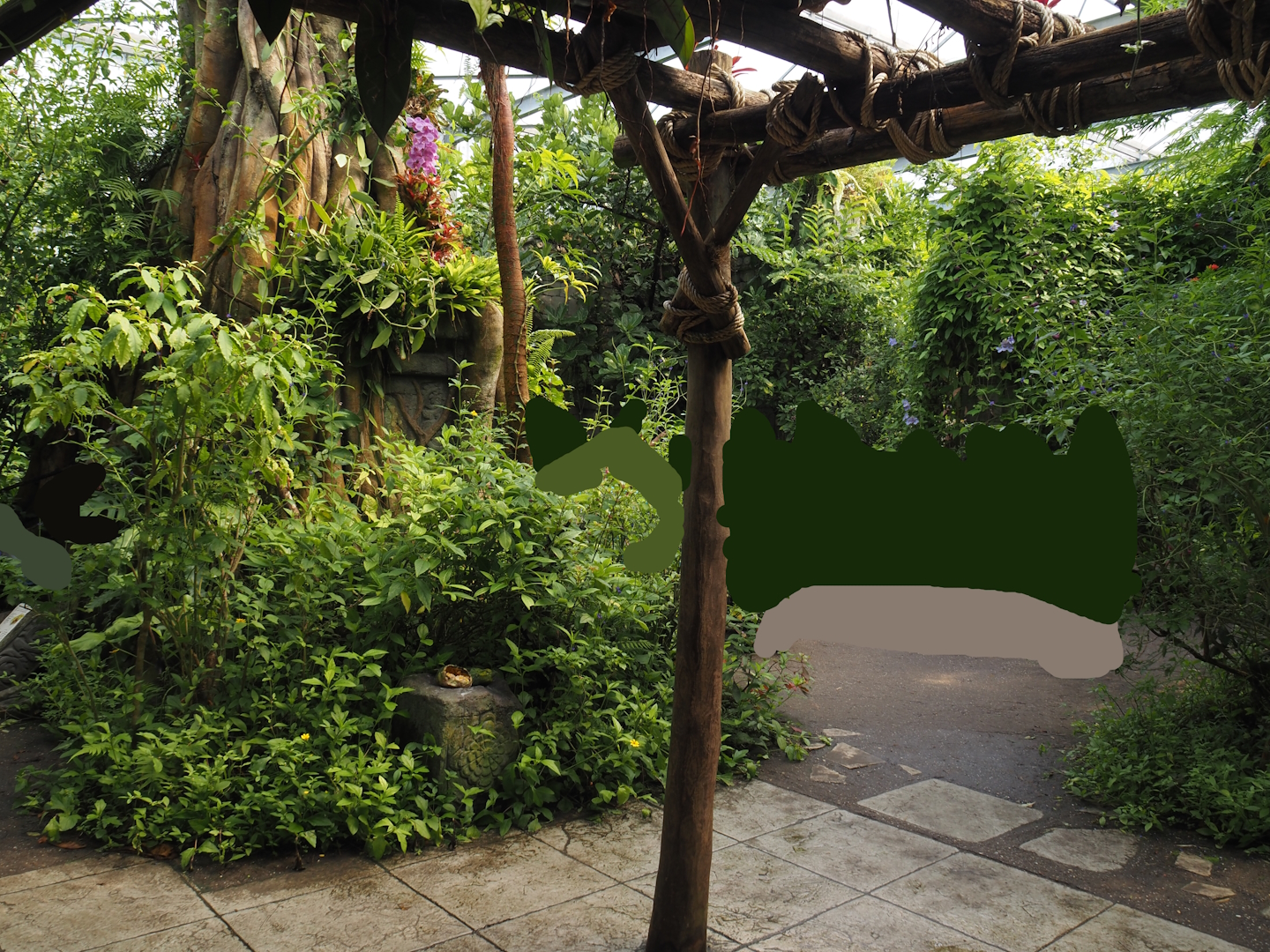 Jungola - Butterfly temple view, 2024-06-23