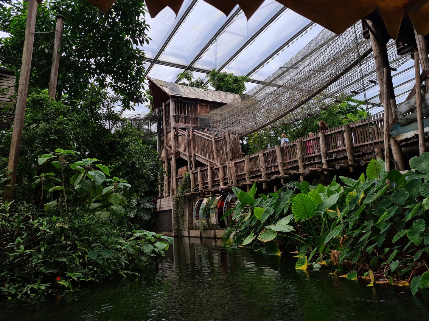 Jungola - climbing towers in Rimbula greenhouse