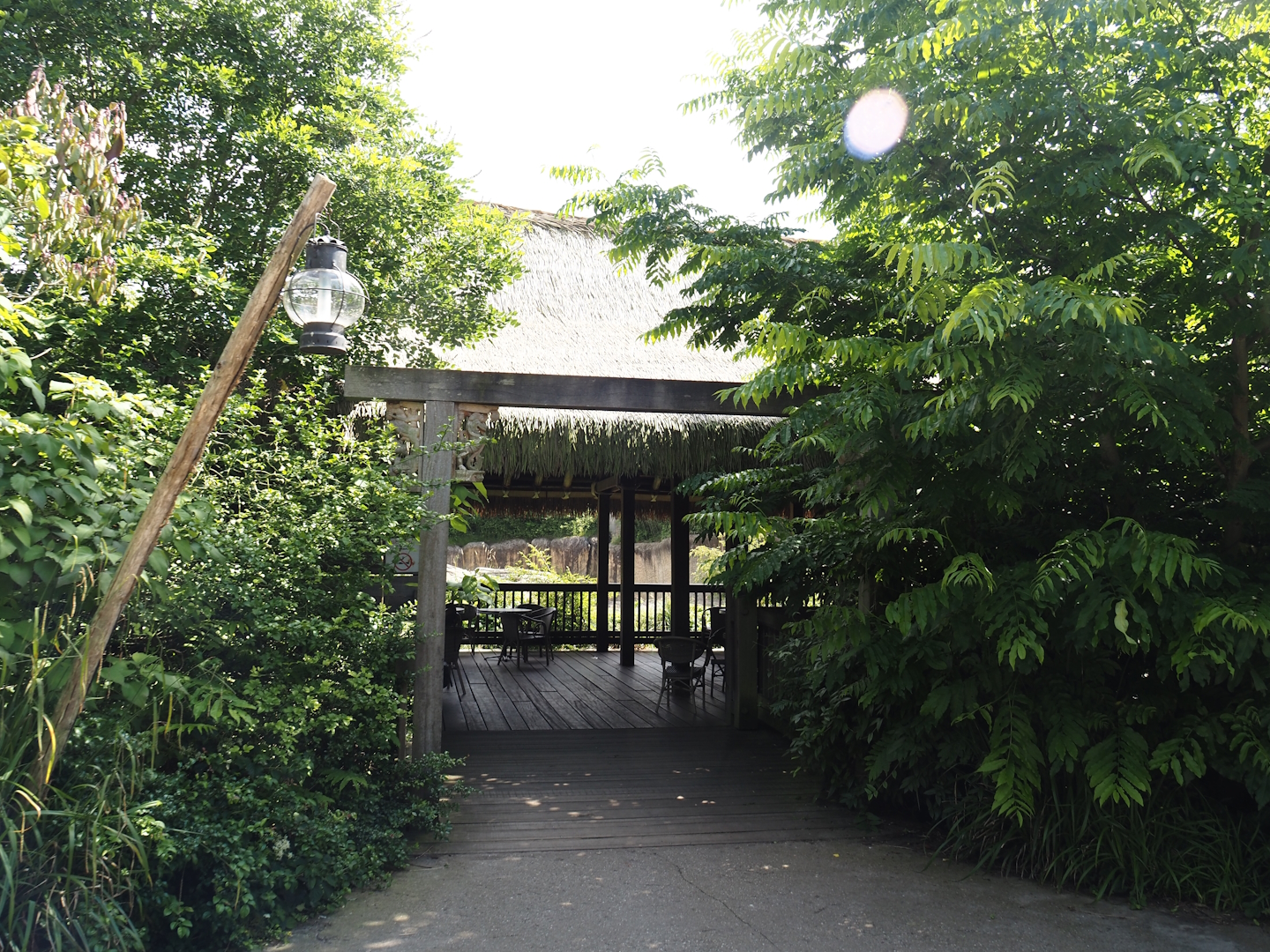 Jungola - Eating and sitting area next to the Asian elephant exhibit, 2024-06-23