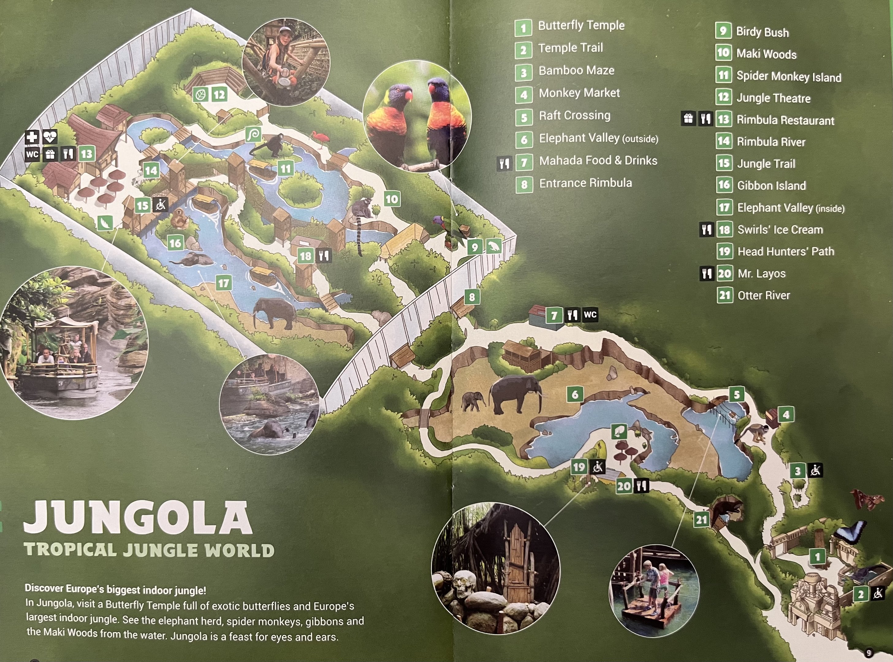 Jungola Map - 2019