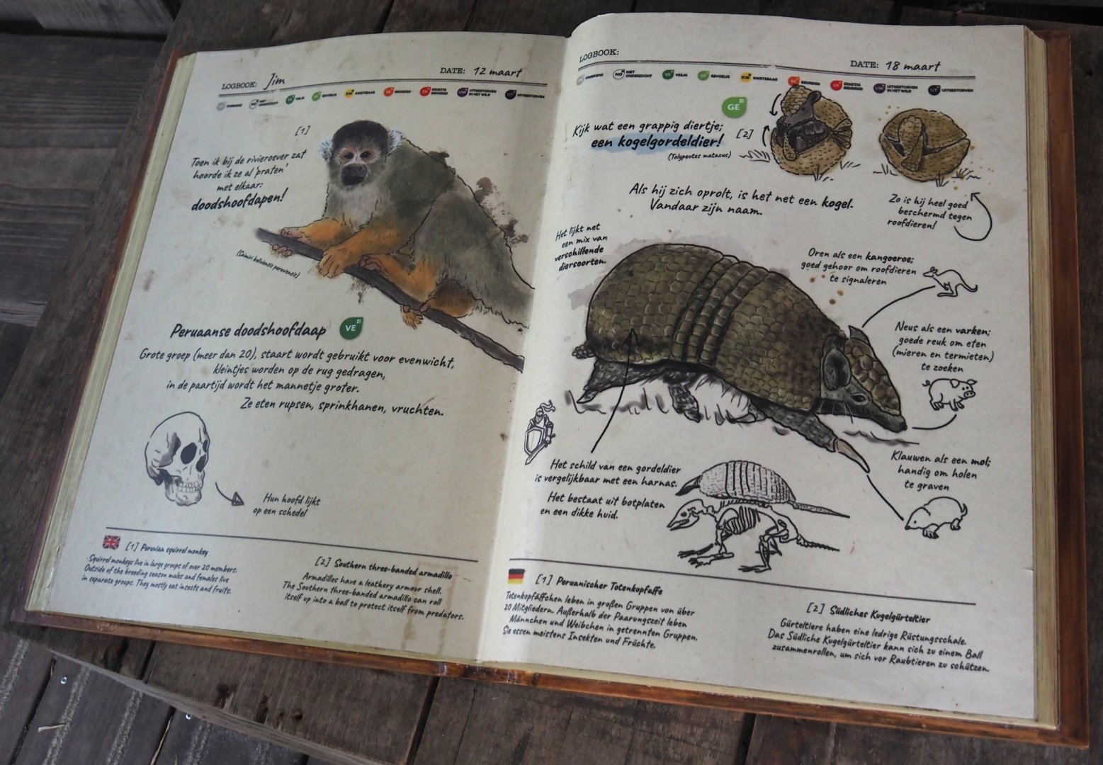 Jungola - Peruvian squirrel monkey and Southern three-banded armadillo signage, 2024-06-23