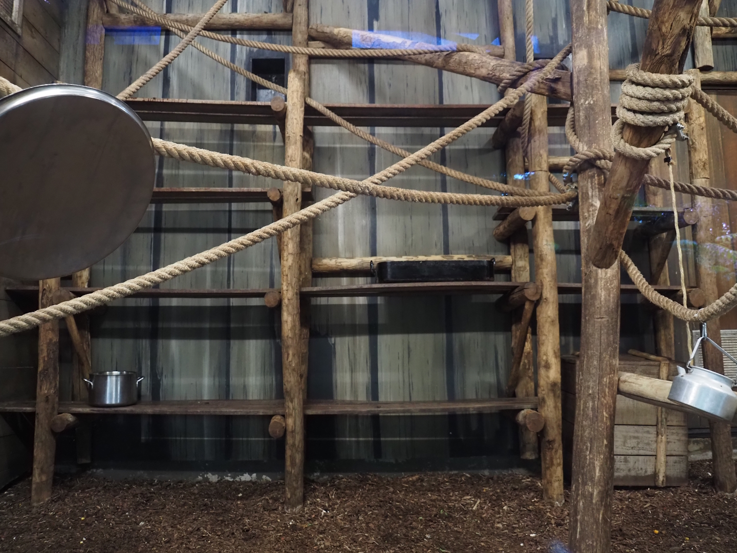 Jungola - Peruvian squirrel monkey indoor exhibit, 2024-06-23