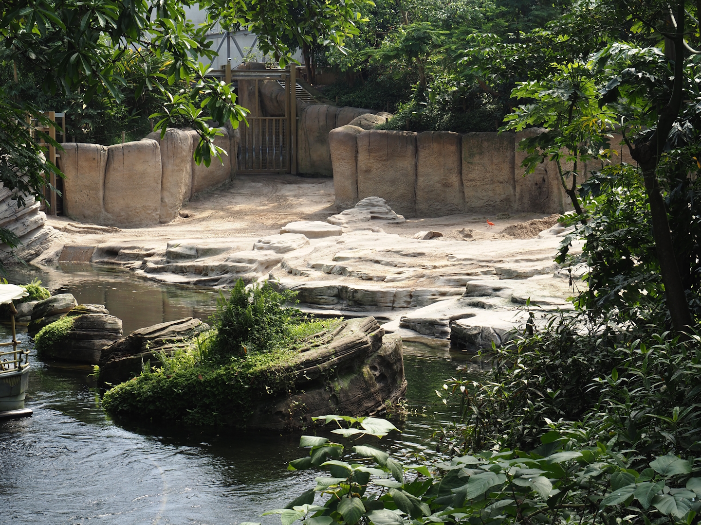 Jungola - Rimbula greenhouse - Asian elephant indoor exhibit, 2024-06-23