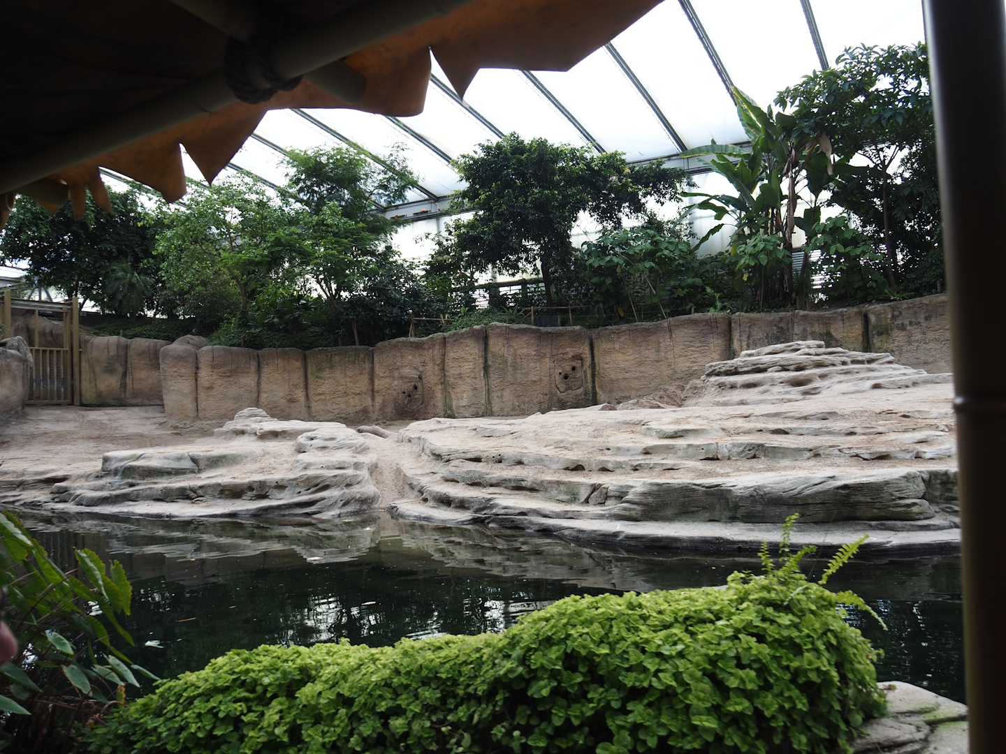 Jungola - Rimbula greenhouse - Asian elephant indoor exhibit seen from the Rimbula River boat ride, 2024-06-23