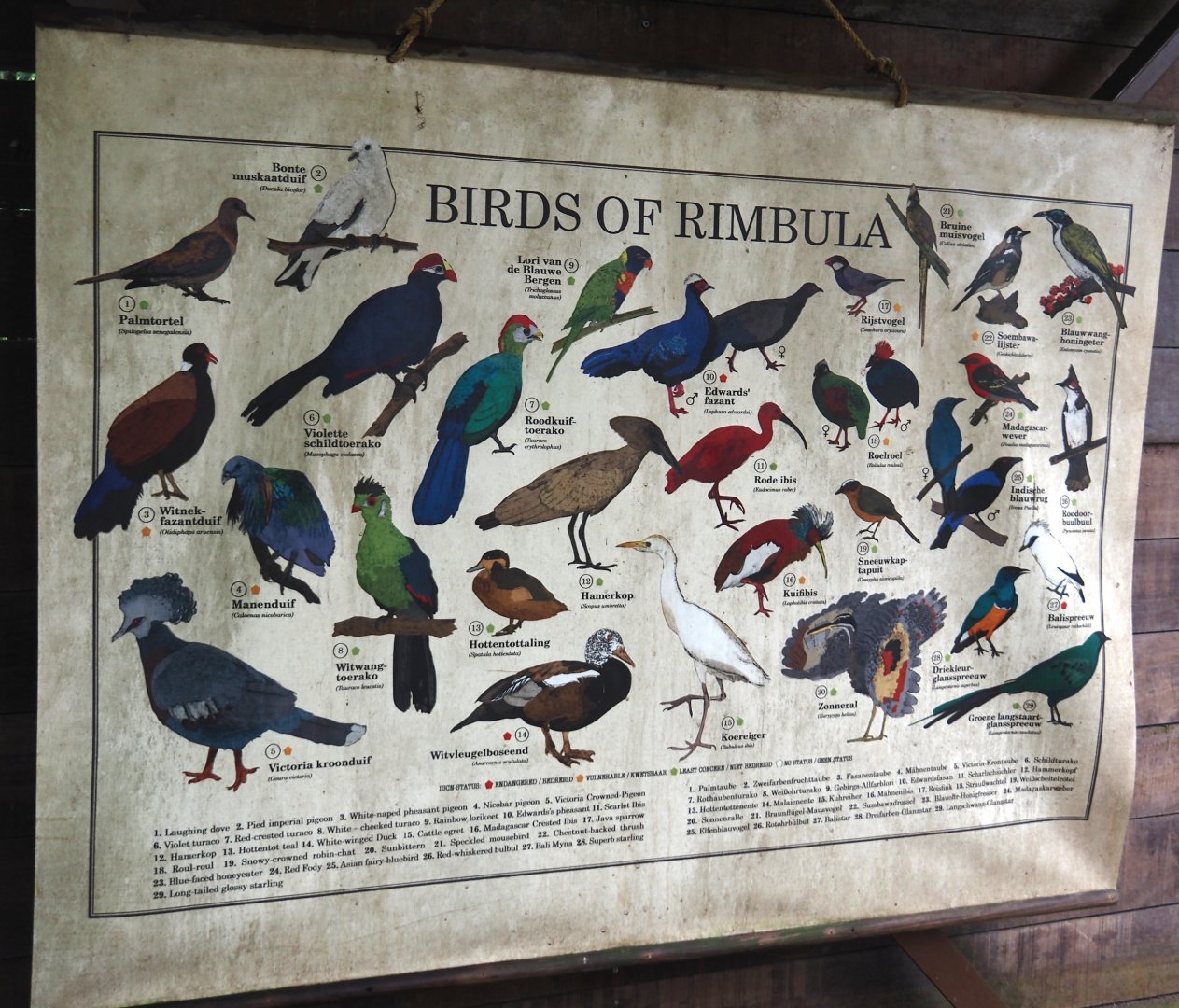 Jungola - Rimbula greenhouse - Free-ranging bird species signage, 2024-06-23