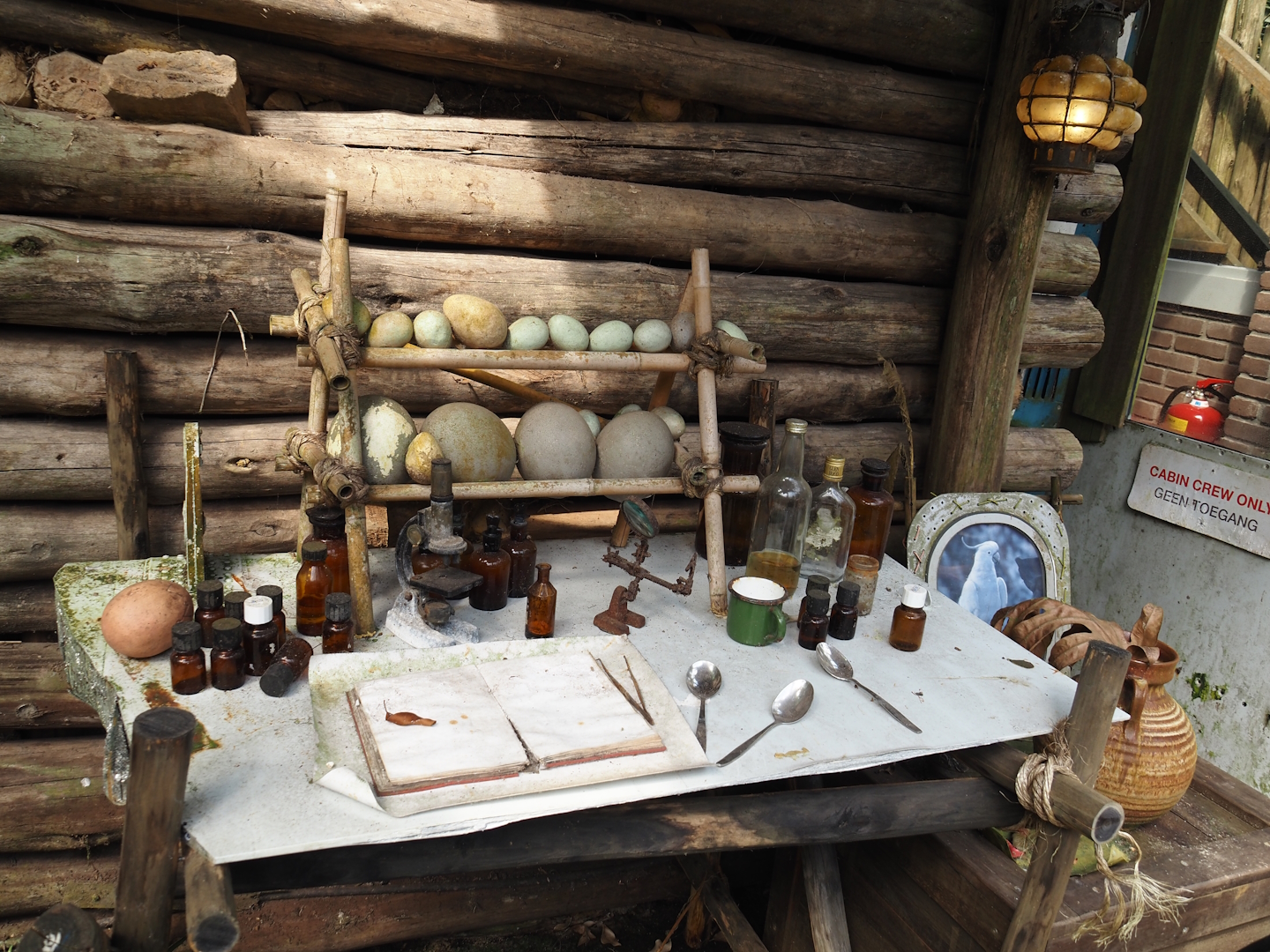 Jungola - Rimbula greenhouse - Jungle Jim research lab site, 2024-06-23