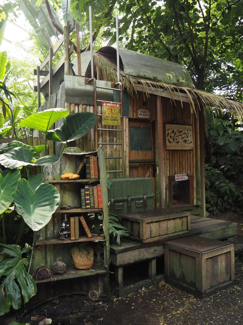 Jungola - Rimbula greenhouse - Jungle Jim's camp, 2024-06-23