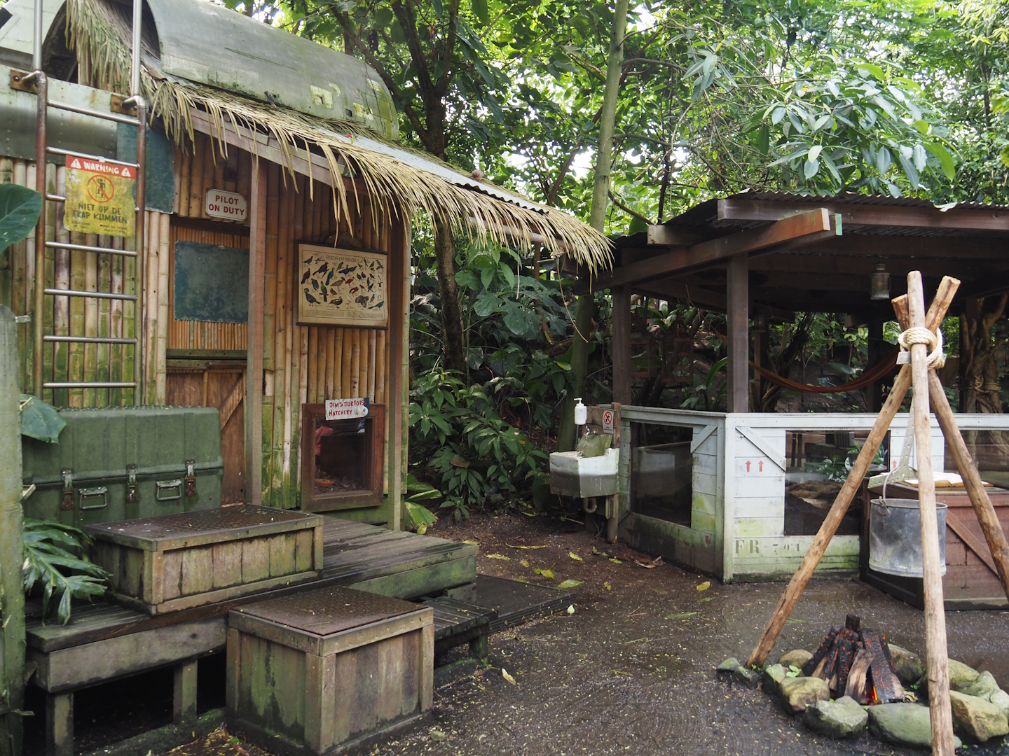 Jungola - Rimbula greenhouse - Jungle Jim's camp and Southern brown tortoise exhibit, 2024-06-23