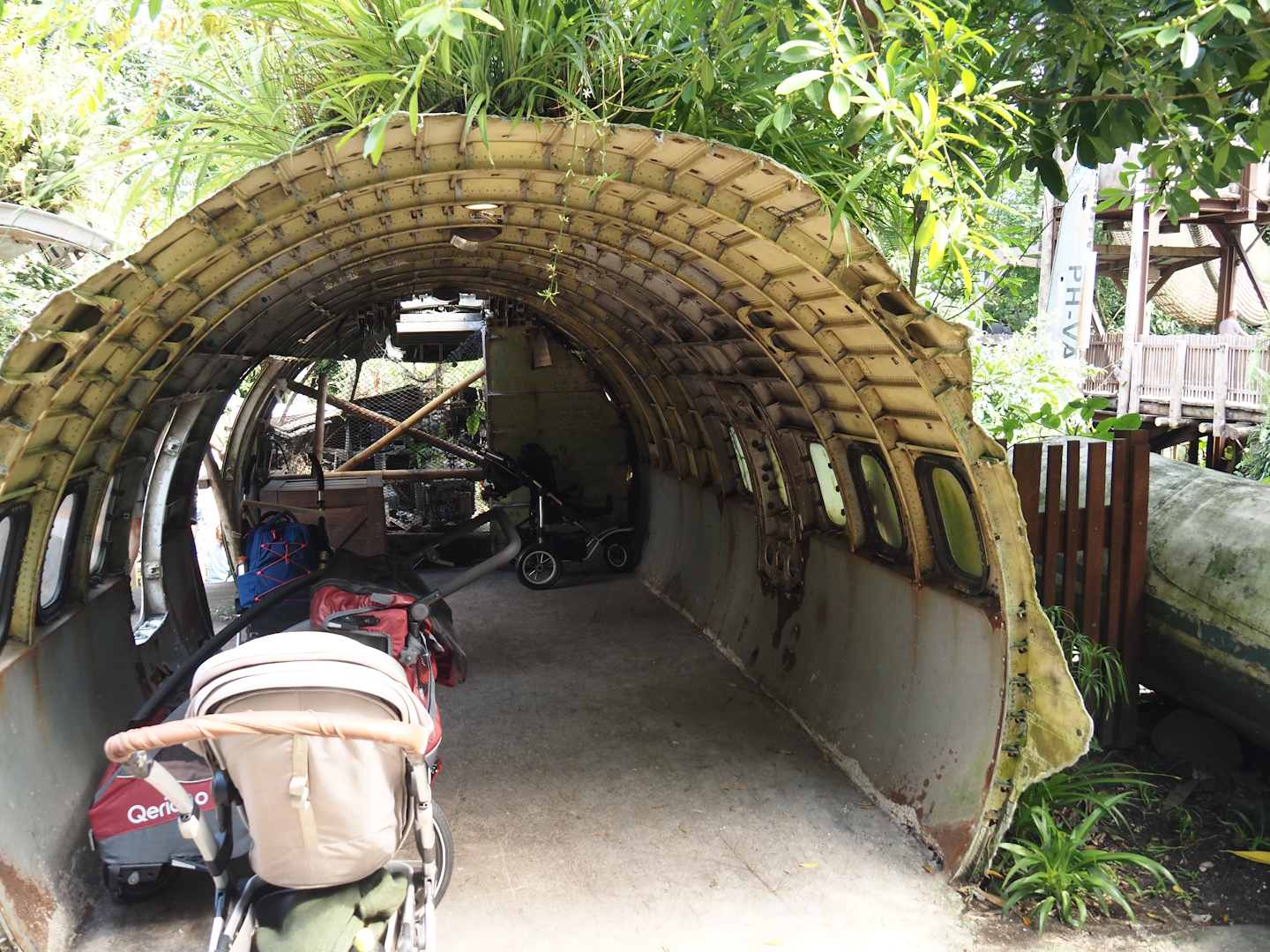 Jungola - Rimbula greenhouse - Jungle Jim's plane fuselage used a buggy parking for Rimbula River boat ride, 2024-06-23