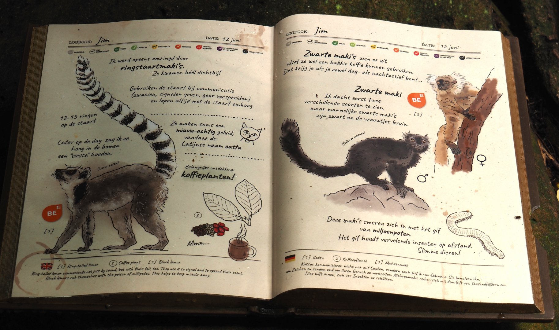 Jungola - Rimbula greenhouse - Lemur signage, 2024-06-23