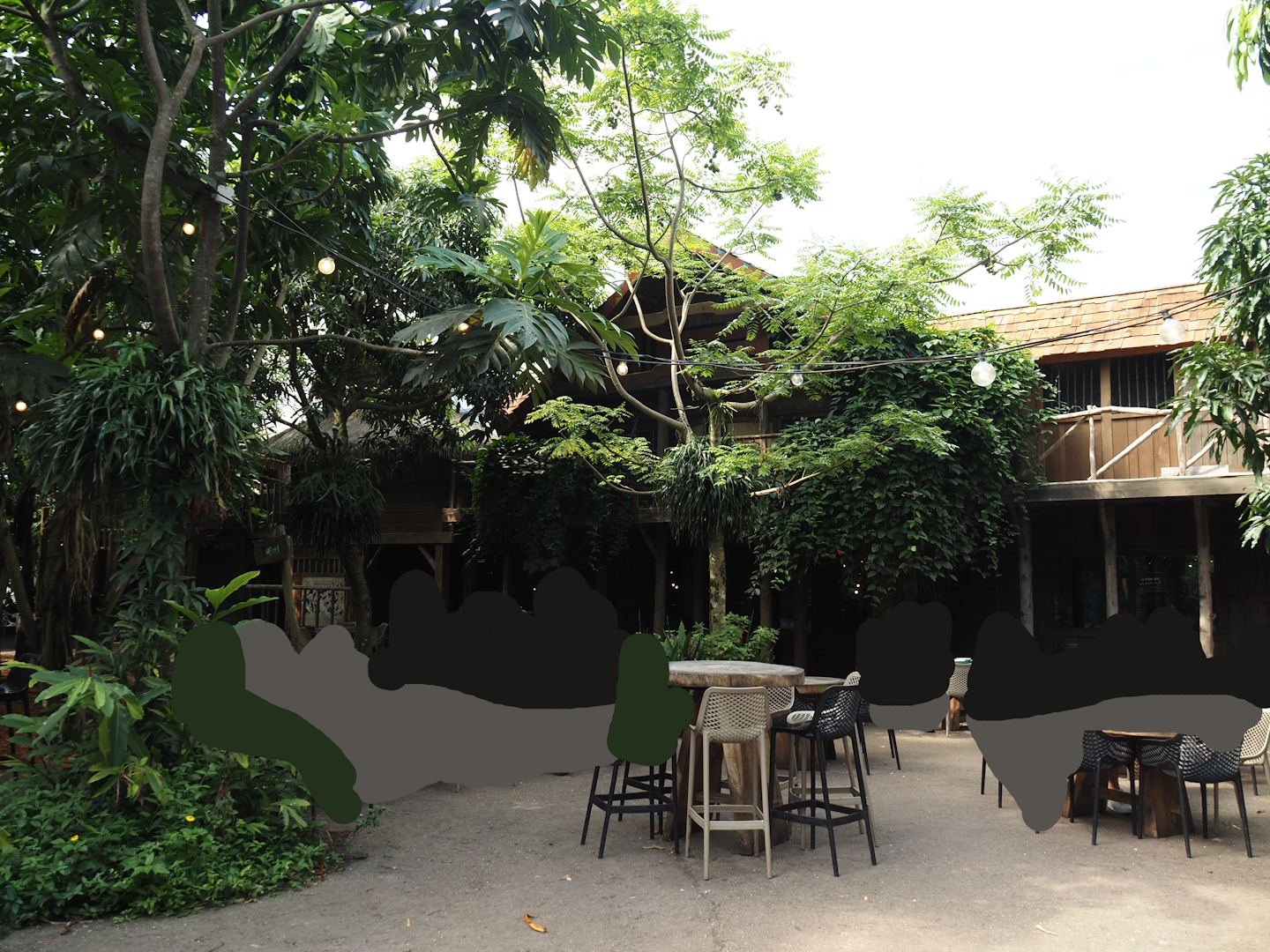 Jungola - Rimbula greenhouse - Rimbula restaurant, 2024-06-23