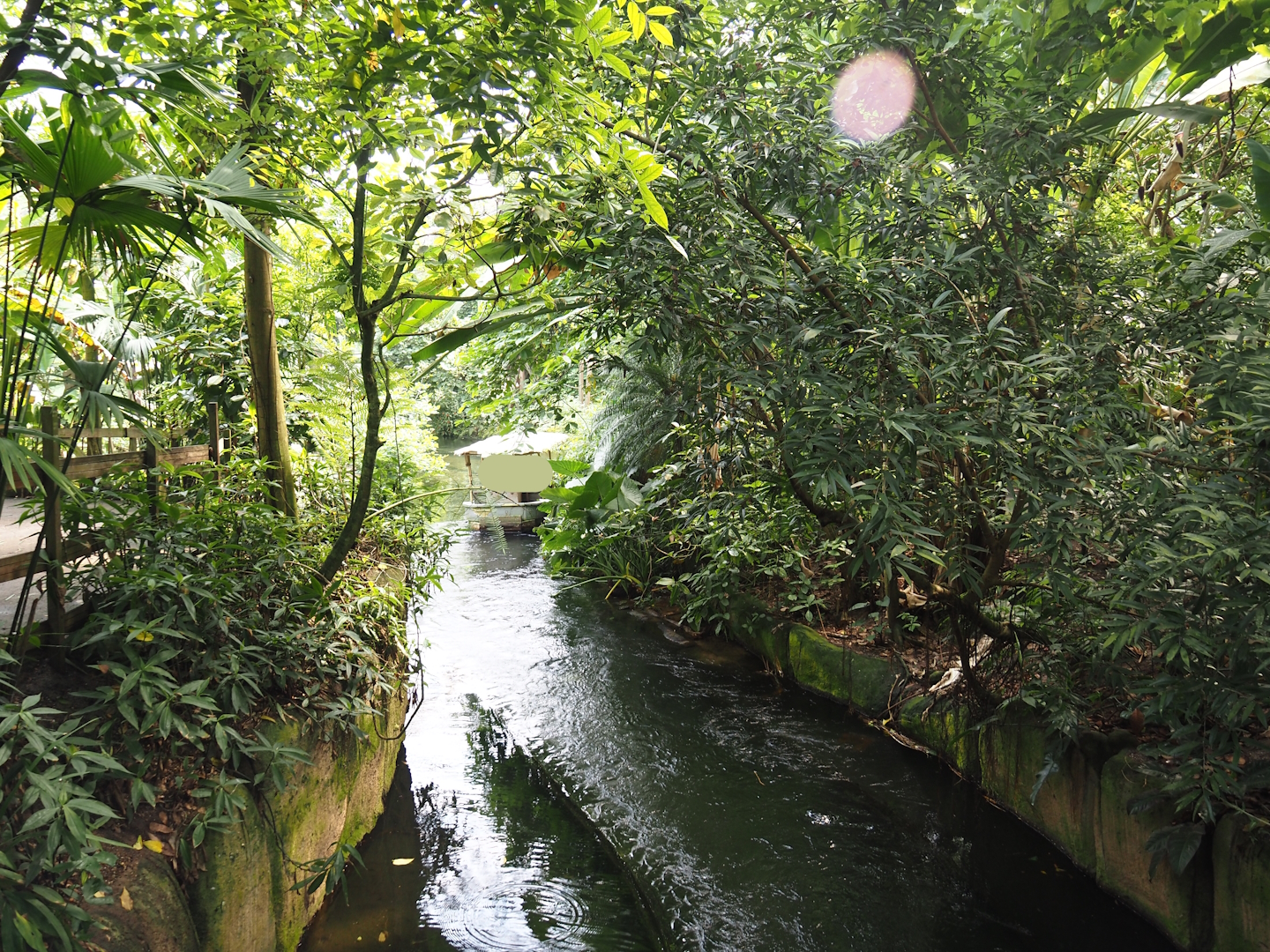 Jungola - Rimbula greenhouse - Rimbula River boat ride canal, 2024-06-23