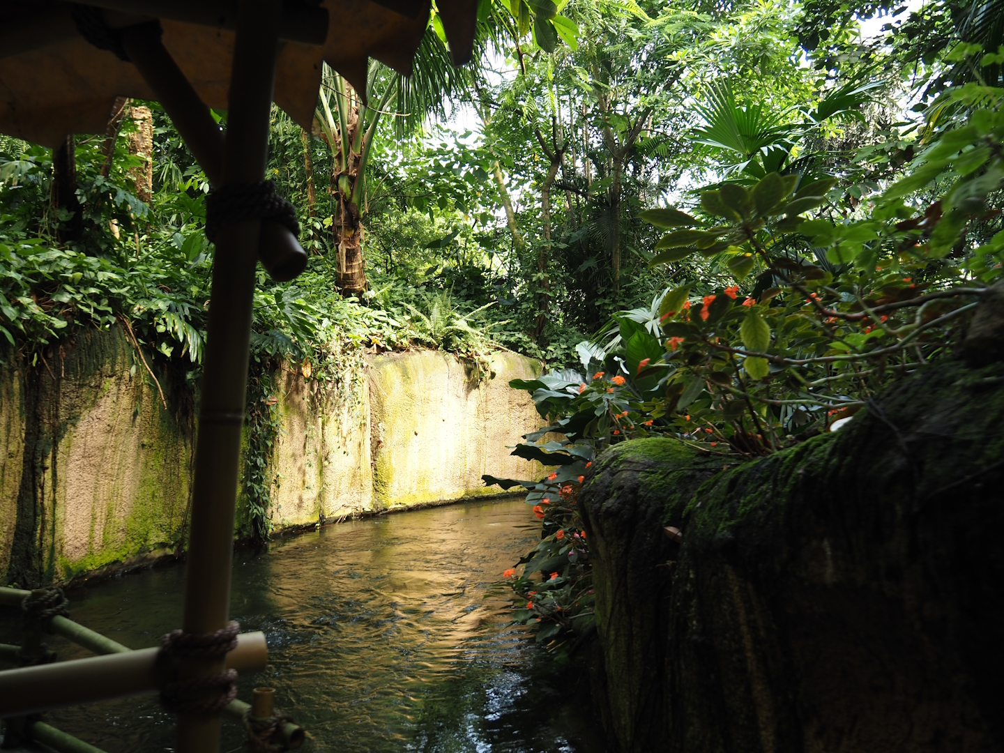 Jungola - Rimbula greenhouse - Rimbula River boat ride canal, 2024-06-23