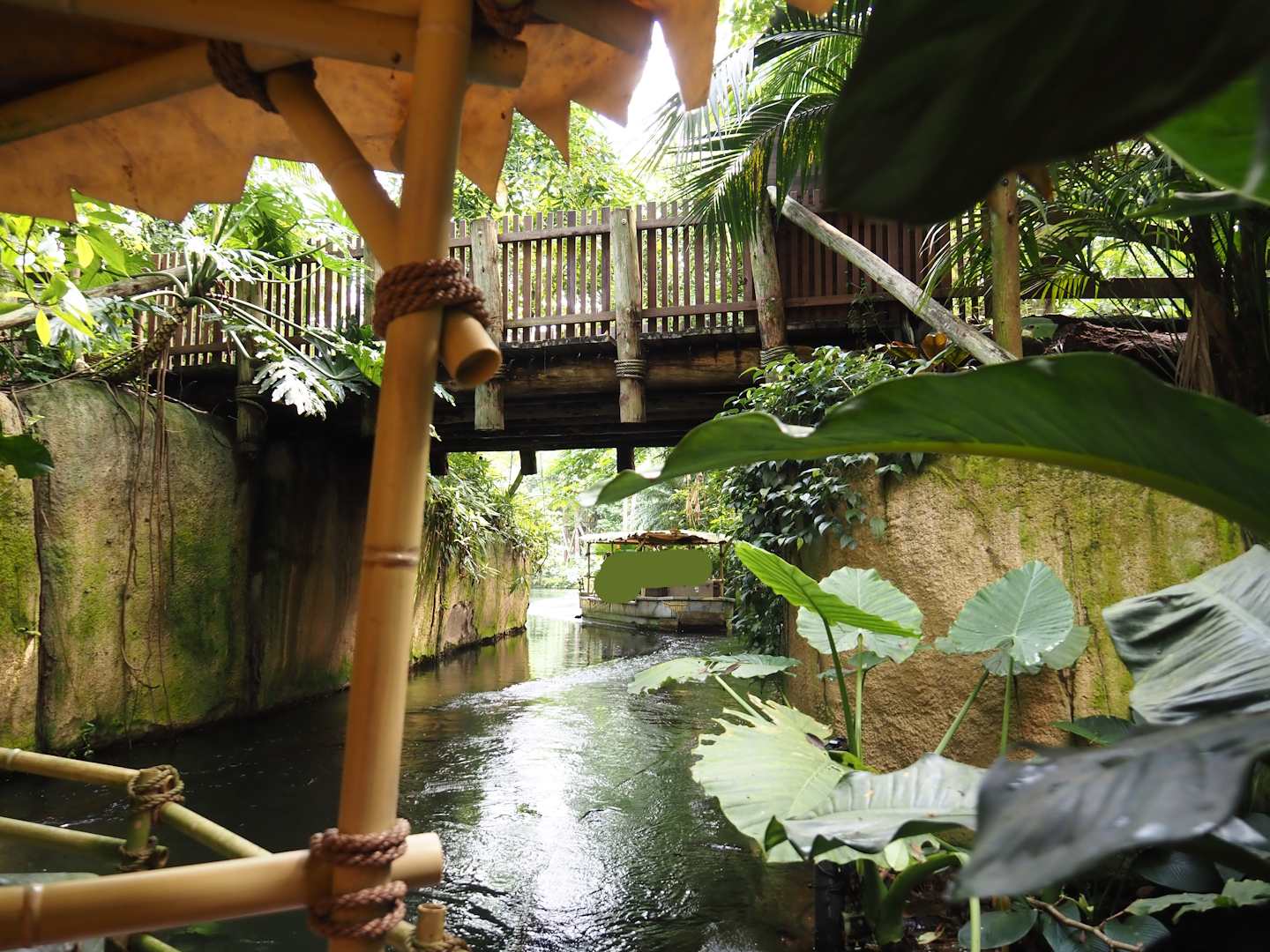 Jungola - Rimbula greenhouse - Rimbula River boat ride canal, 2024-06-23
