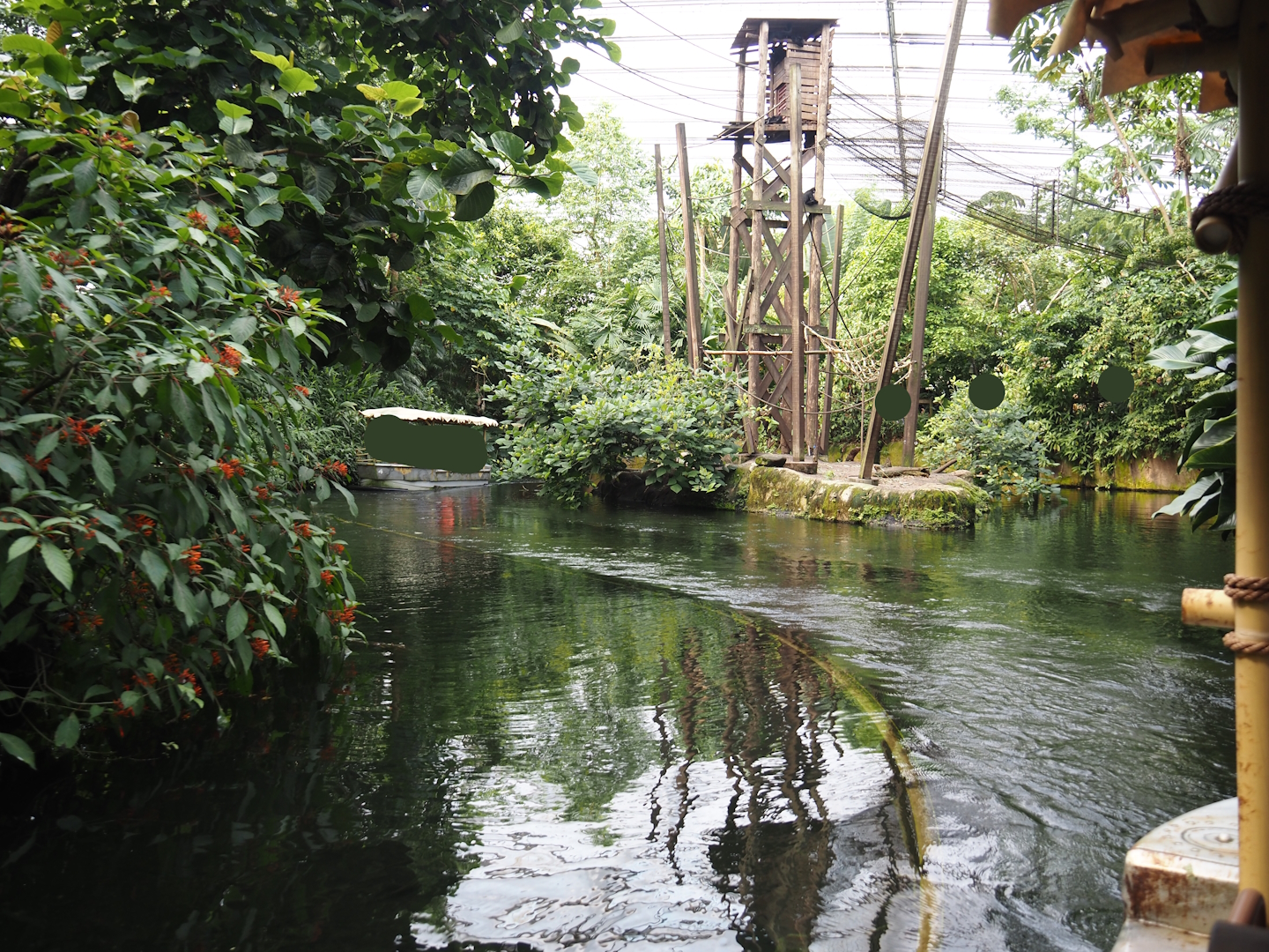 Jungola - Rimbula greenhouse - Rimbula River boat ride canal and Colombian black spider monkey island, 2024-06-23