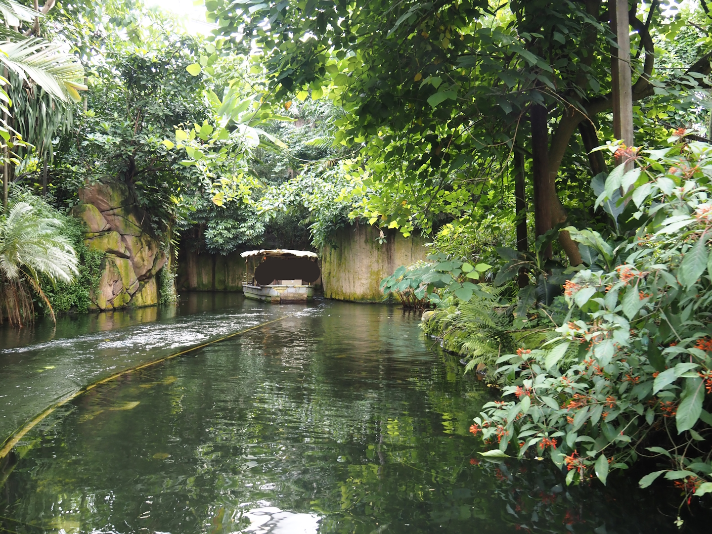 Jungola - Rimbula greenhouse - Rimbula River boat ride canal and part of Lar gibbon island, 2024-06-23