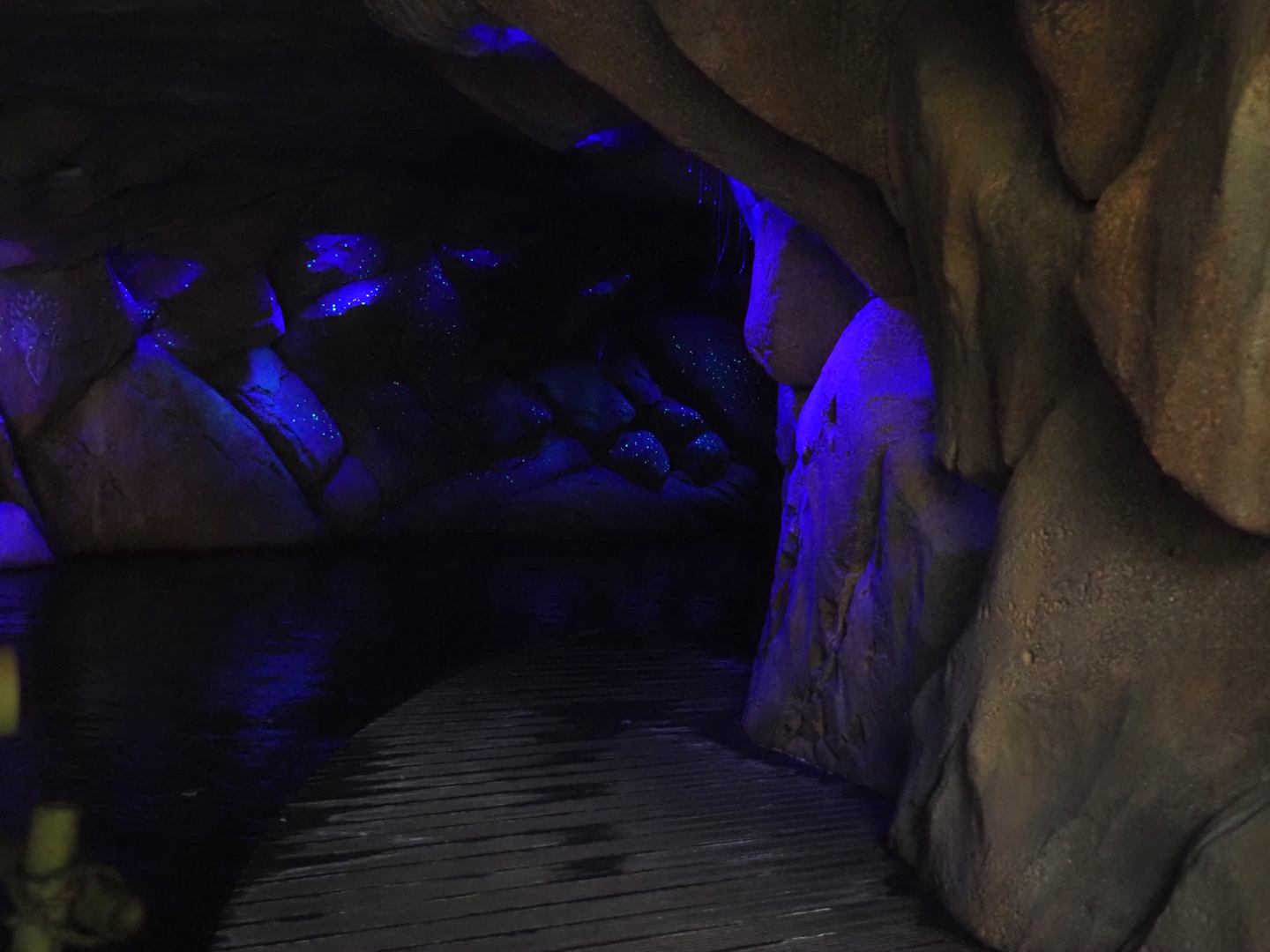 Jungola - Rimbula greenhouse - Rimbula River boat ride - Cave with projections and fake glowworm snare threads, 2024-06-23