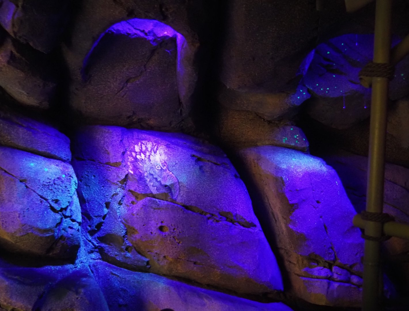 Jungola - Rimbula greenhouse - Rimbula River boat ride - Cave with projections and fake glowworm snare threads, 2024-06-23