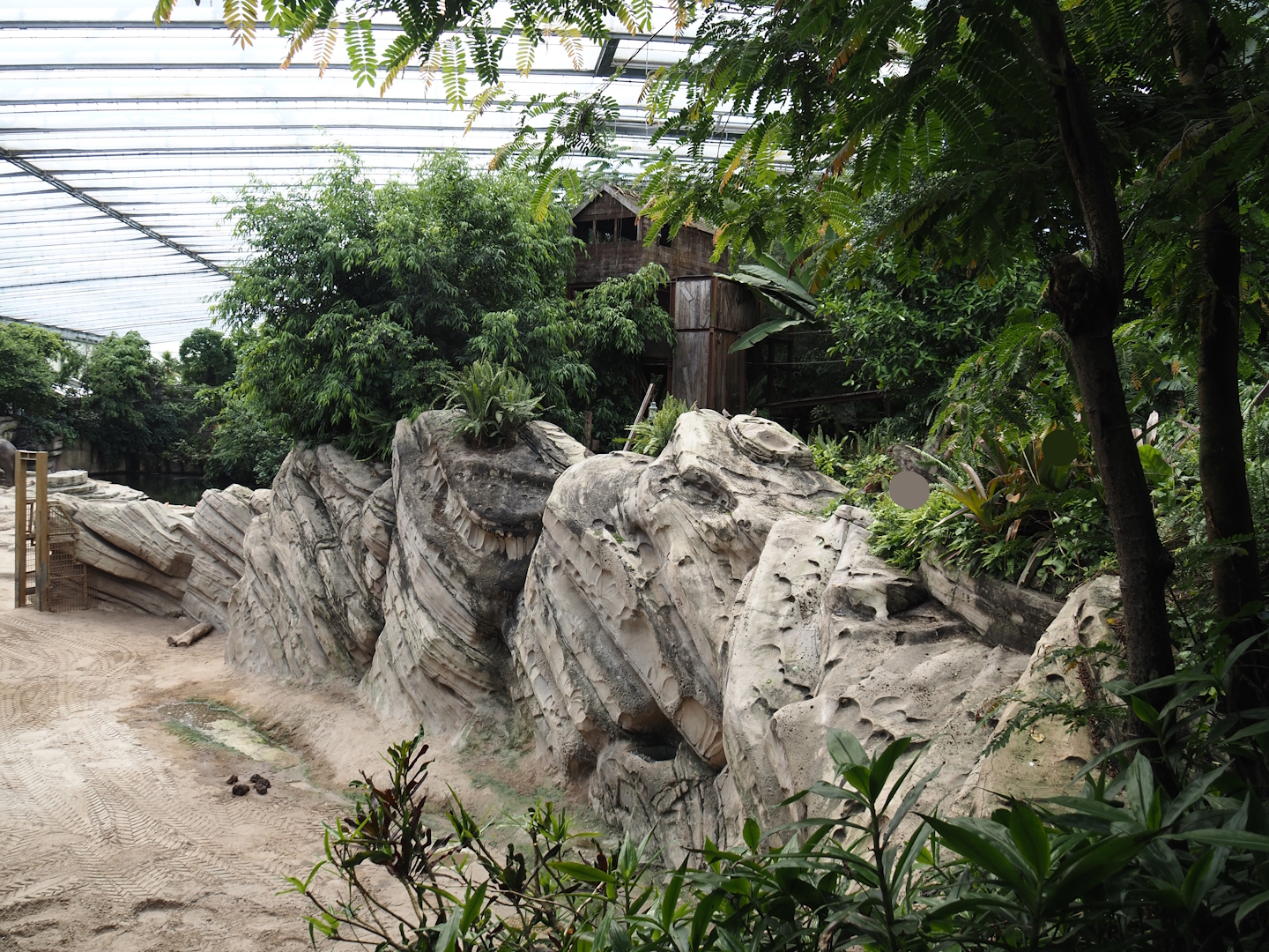 Jungola - Rimbula greenhouse - Rock wall around Asian elephant indoor exhibit, vegetation and Jungle Trail structures, 2024-06-23