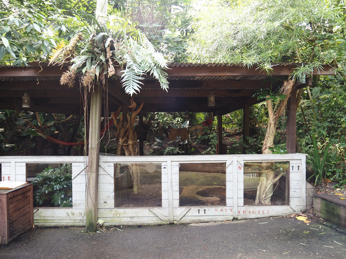 Jungola - Rimbula greenhouse - Southern brown tortoise exhibits, 2024-06-23