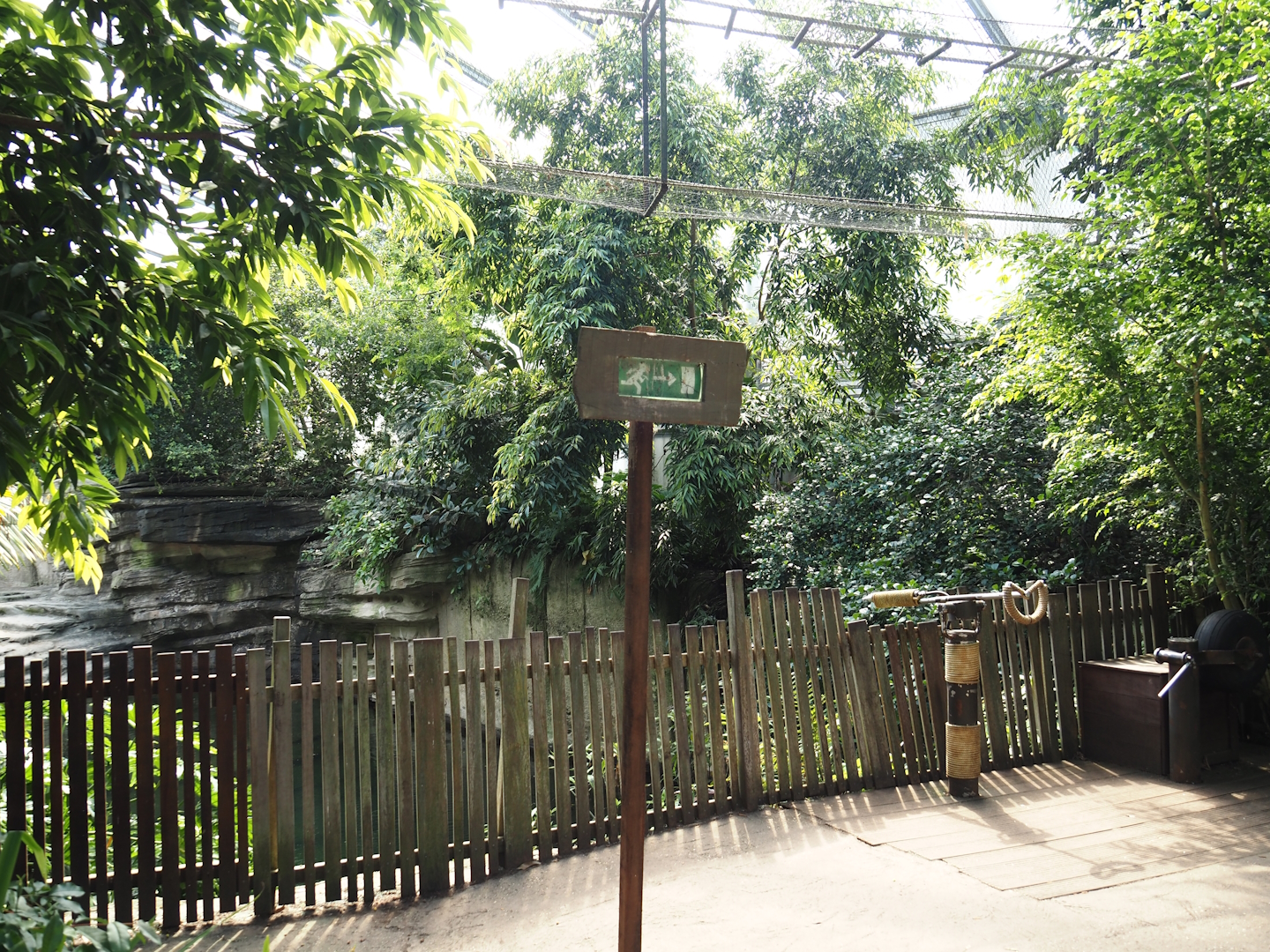 Jungola - Rimbula greenhouse - Viewing area for Asian elephant indoor exhibit and Lar gibbon bridge, 2024-06-23