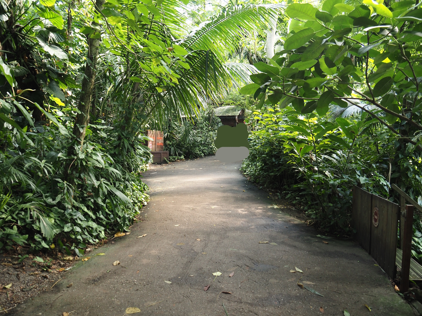 Jungola - Rimbula greenhouse - Walkway, 2024-06-23