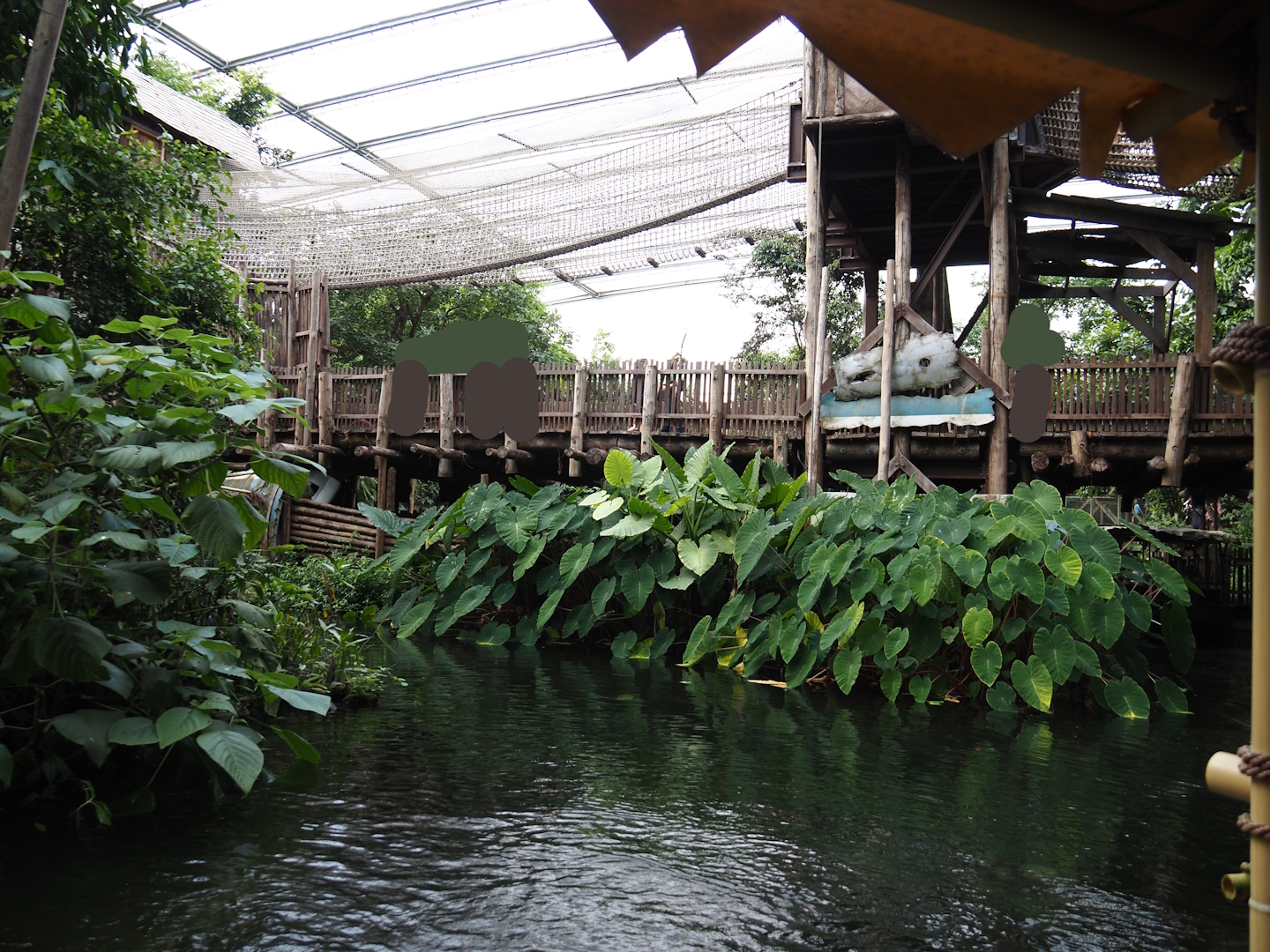 Jungola - Rimbula greenhouse - Walkway and Jungle Trail structures seen from Rimbula River boat ride, 2024-06-23
