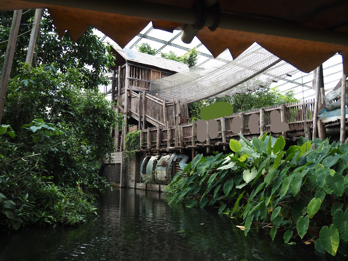 Jungola - Rimbula greenhouse - Walkway and Jungle Trail structures seen from Rimbula River boat ride, 2024-06-23