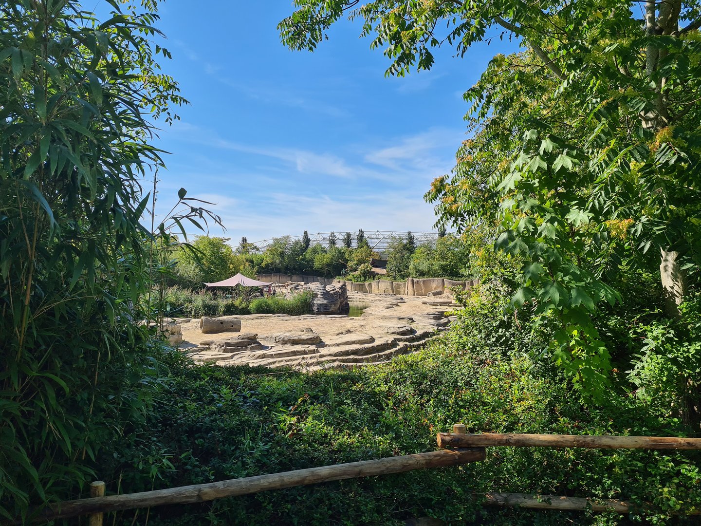Jungola - View of Asian elephant enclosure
