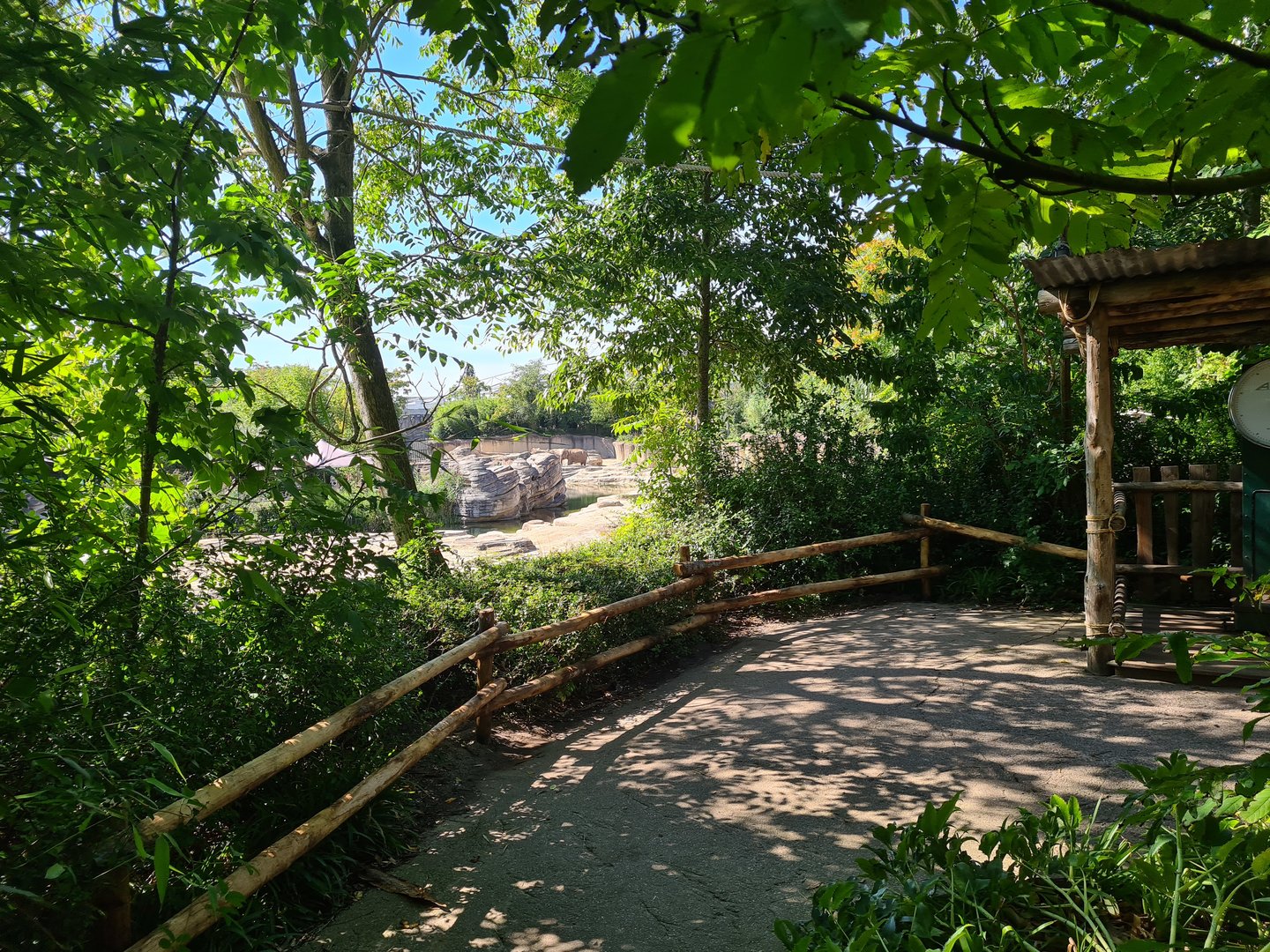 Jungola - View of Asian elephant enclosure