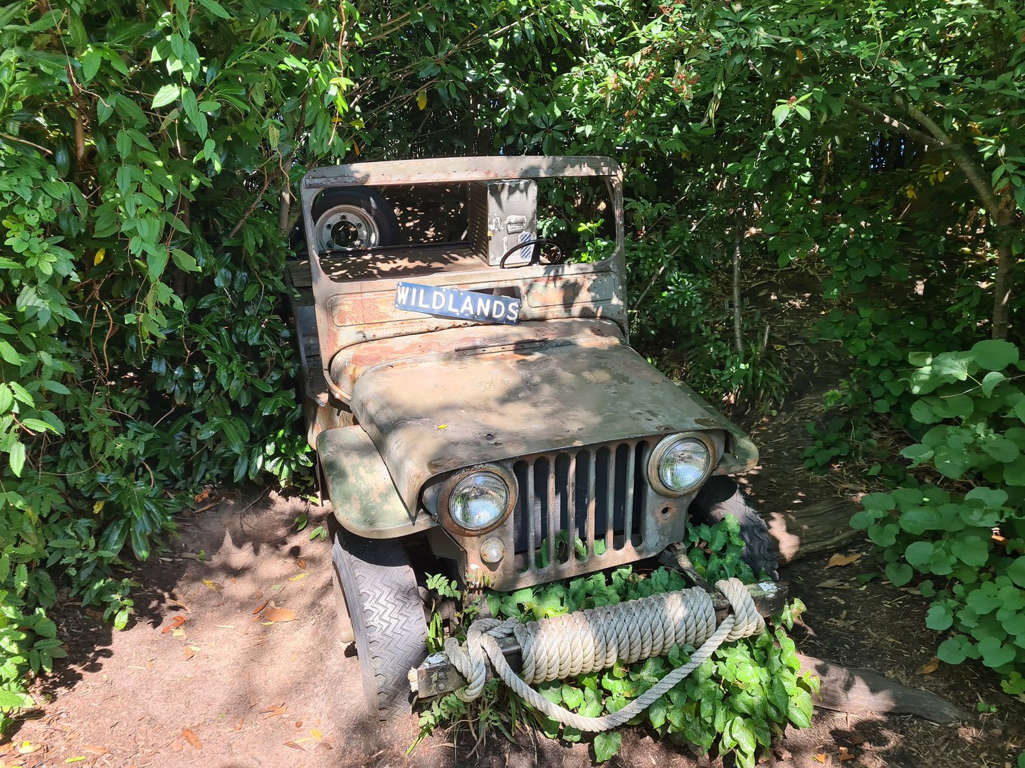 Jungola - Wildlands truck photo spot