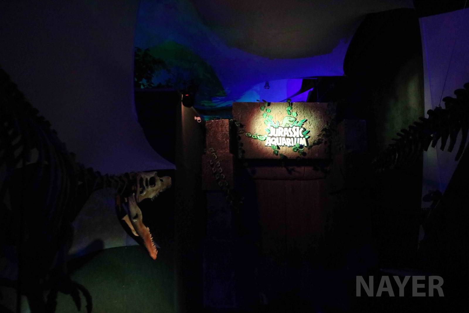 Jurassic aquarium ride, April 2016