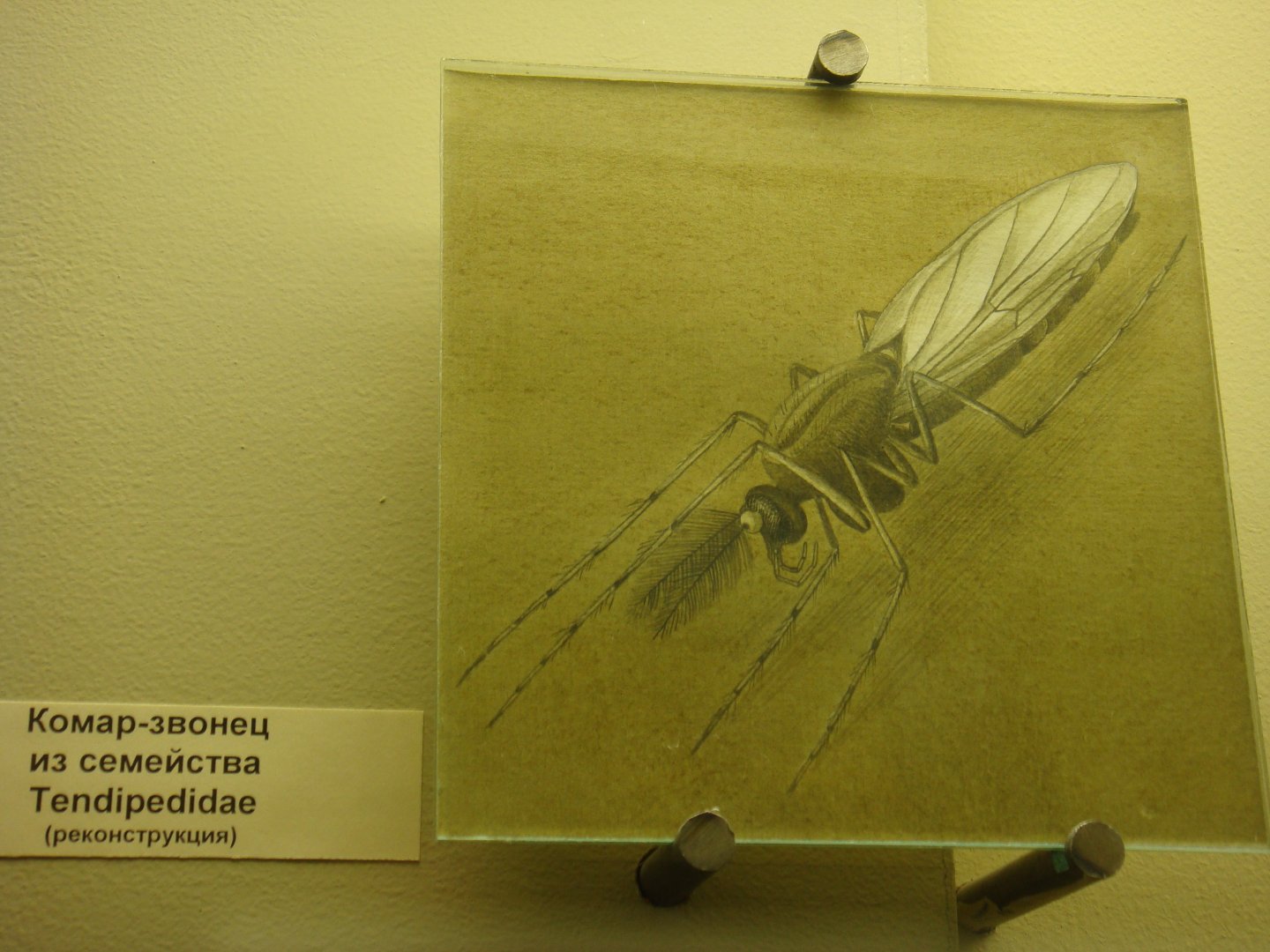 Jurassic Lake fly reconstruction