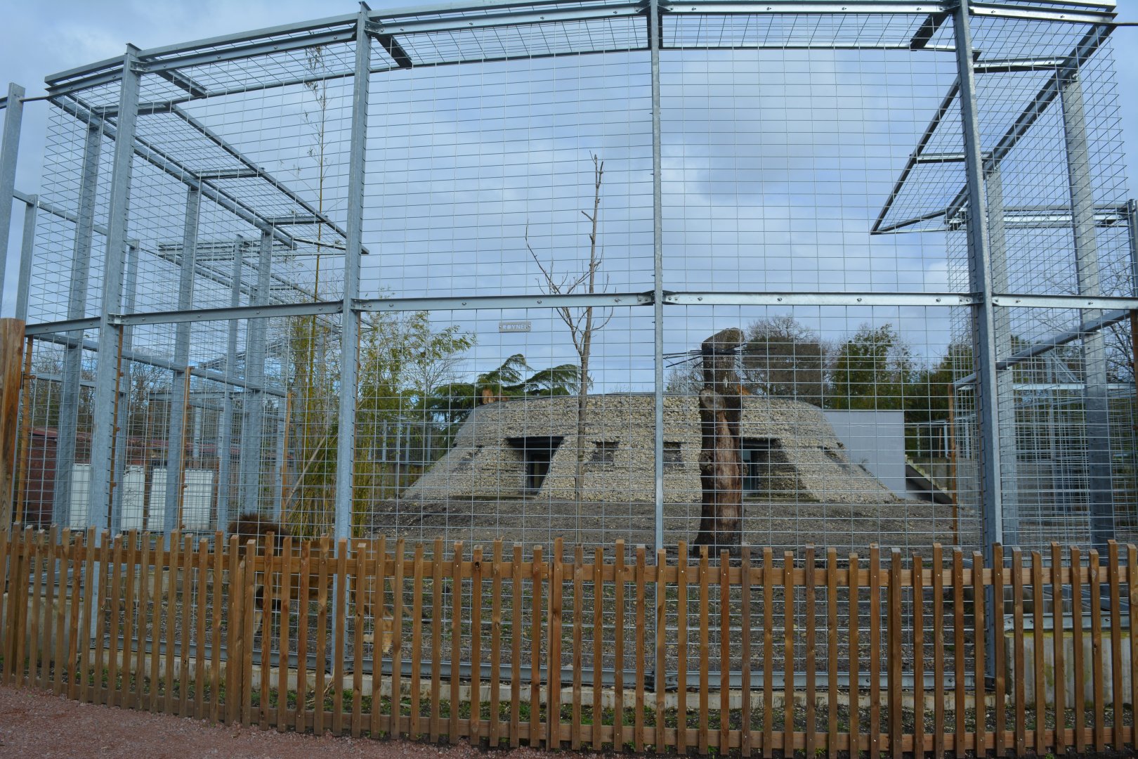 Jurassic Park limit for african lion enclosure