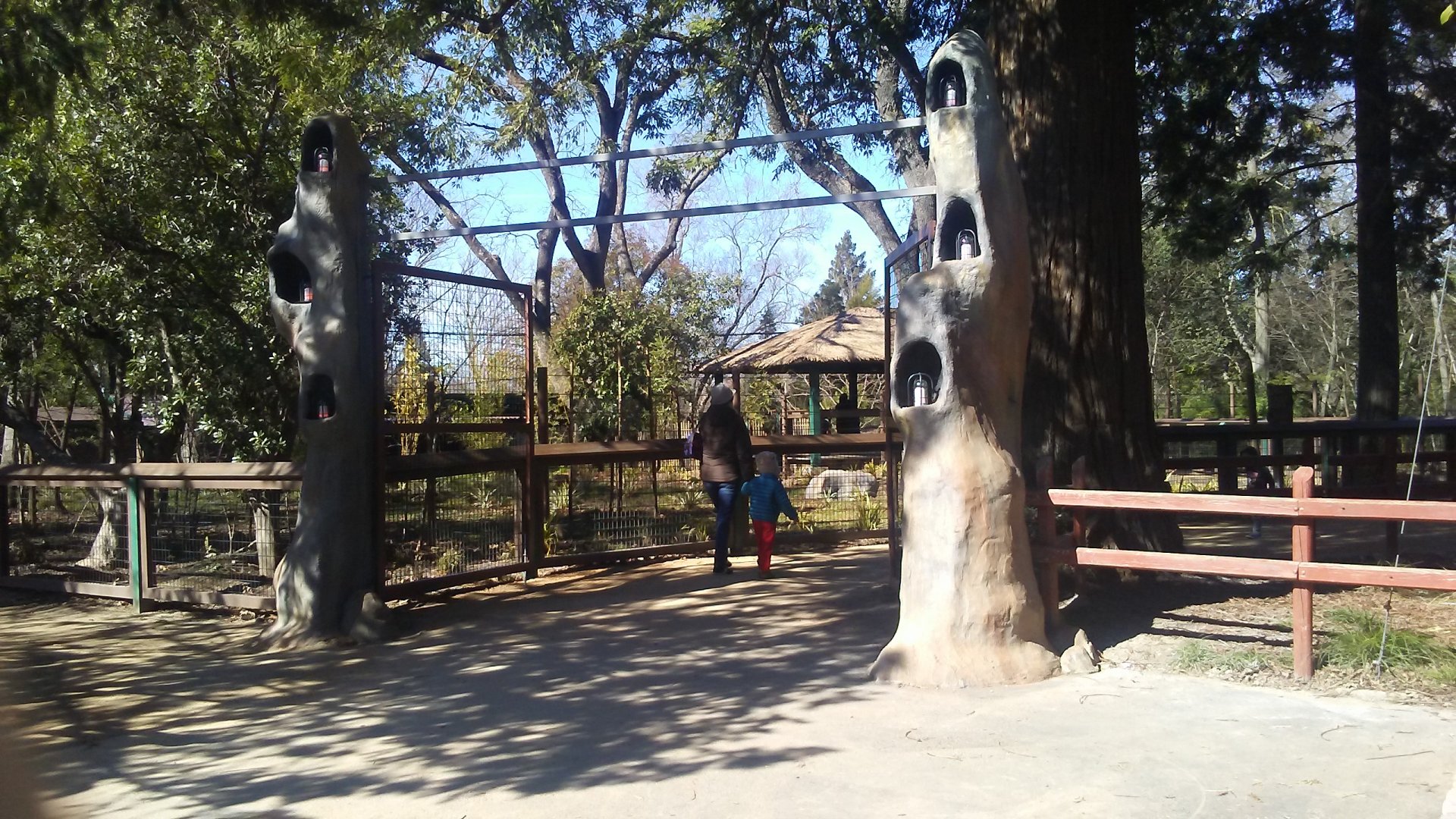 Jurassic Park style entrance gates to okapis