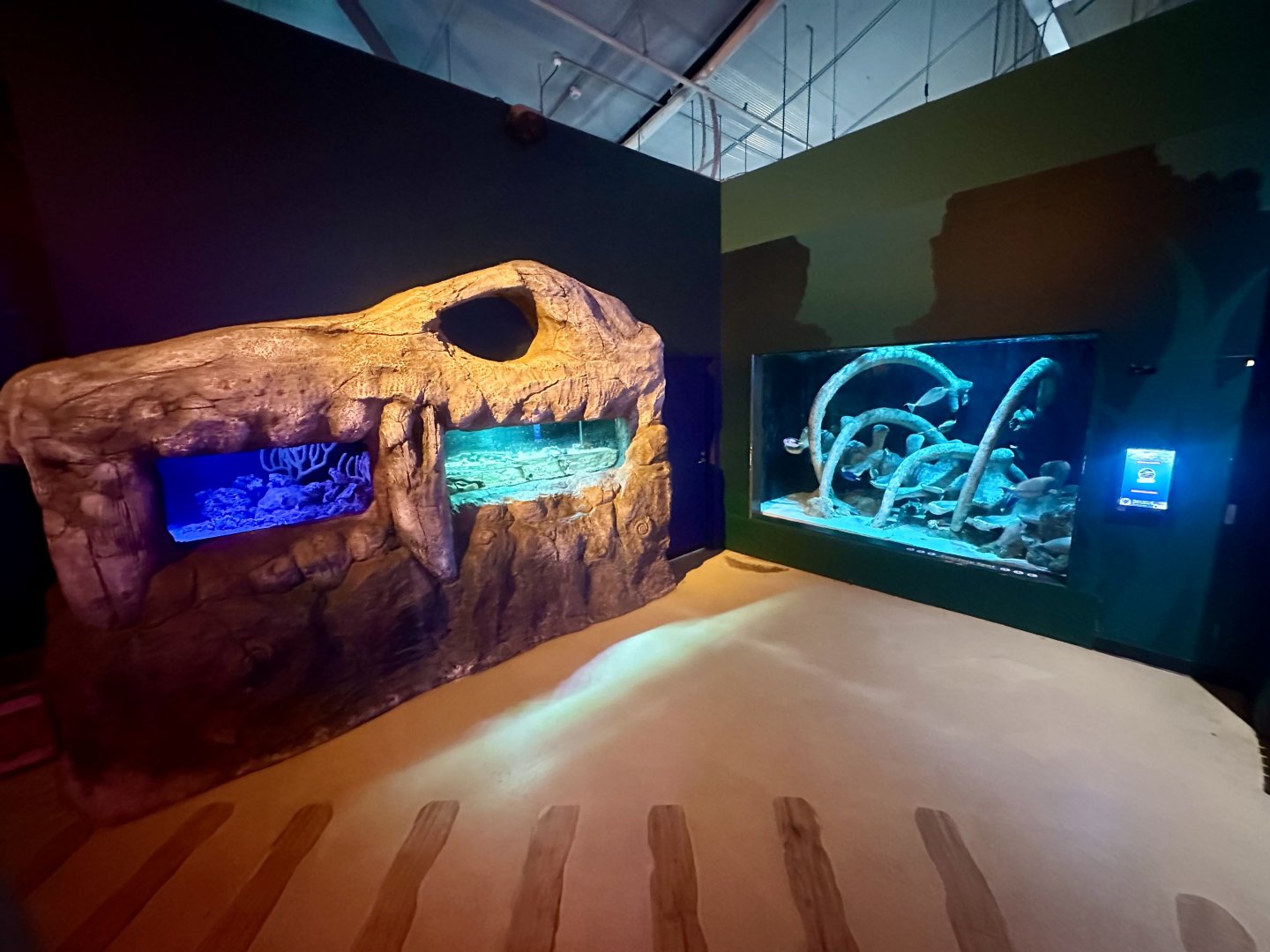 Jurassic Seas Precinct (Exhibits)