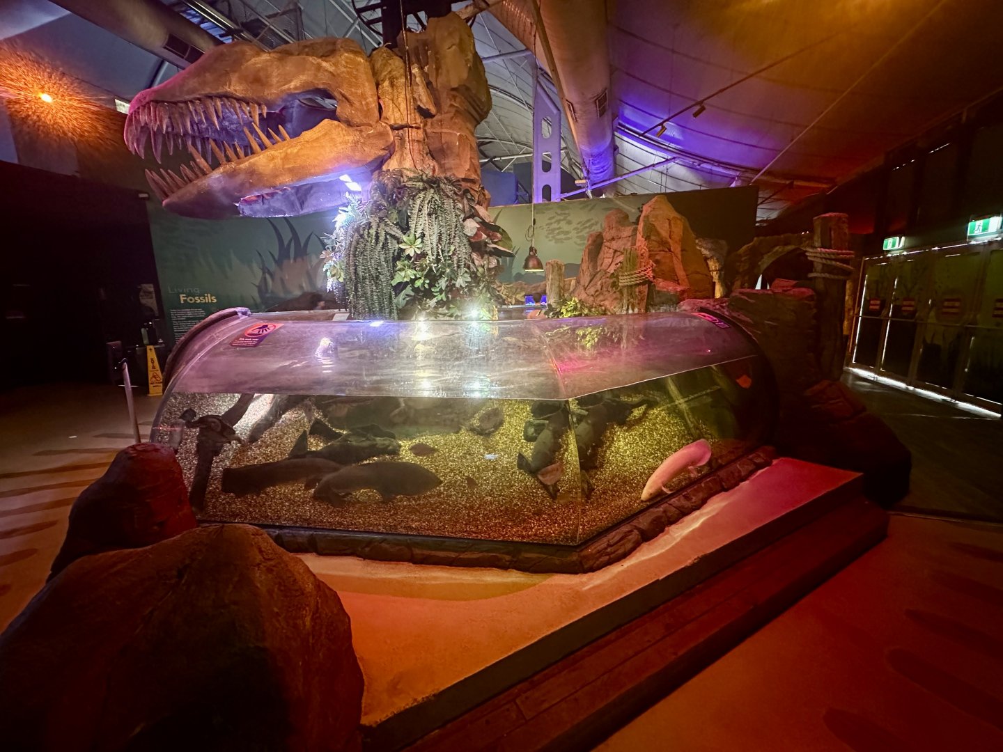 Jurassic Seas Precinct (Main Exhibit)