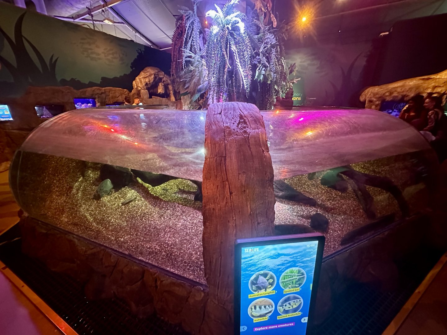 Jurassic Seas Precinct (Main Exhibit)