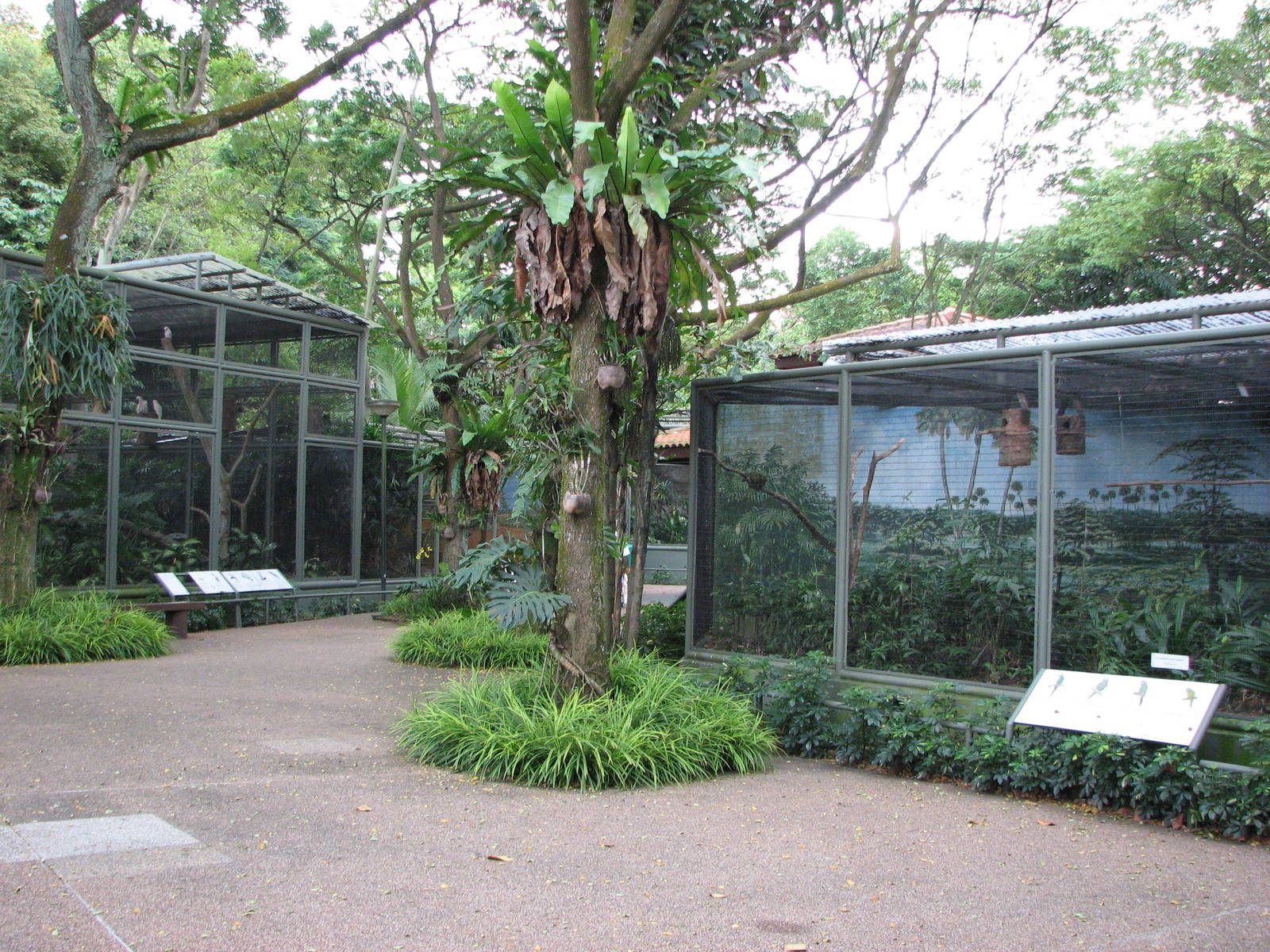 Jurong Bird Park 2008 - Aviaries in Parrot Paradise