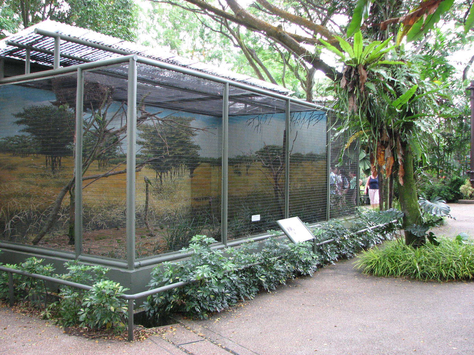 Jurong Bird Park 2008 - Aviaries in Parrot Paradise