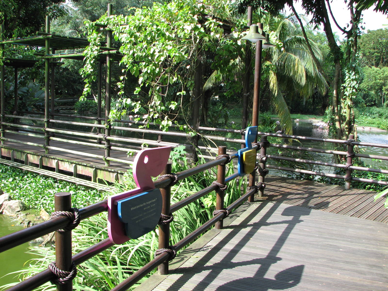 Jurong Bird Park 2008 - Boardwalk at the Pelican Lagoon