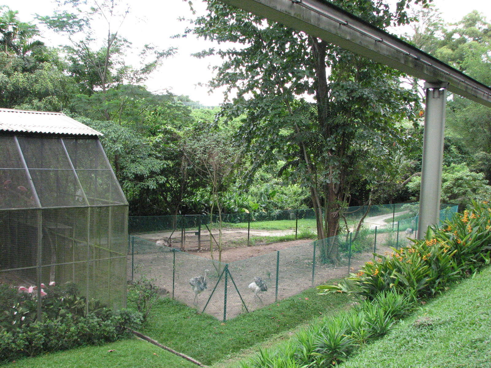Jurong Bird Park 2008 - Common Rhea enclosure and Monorail line