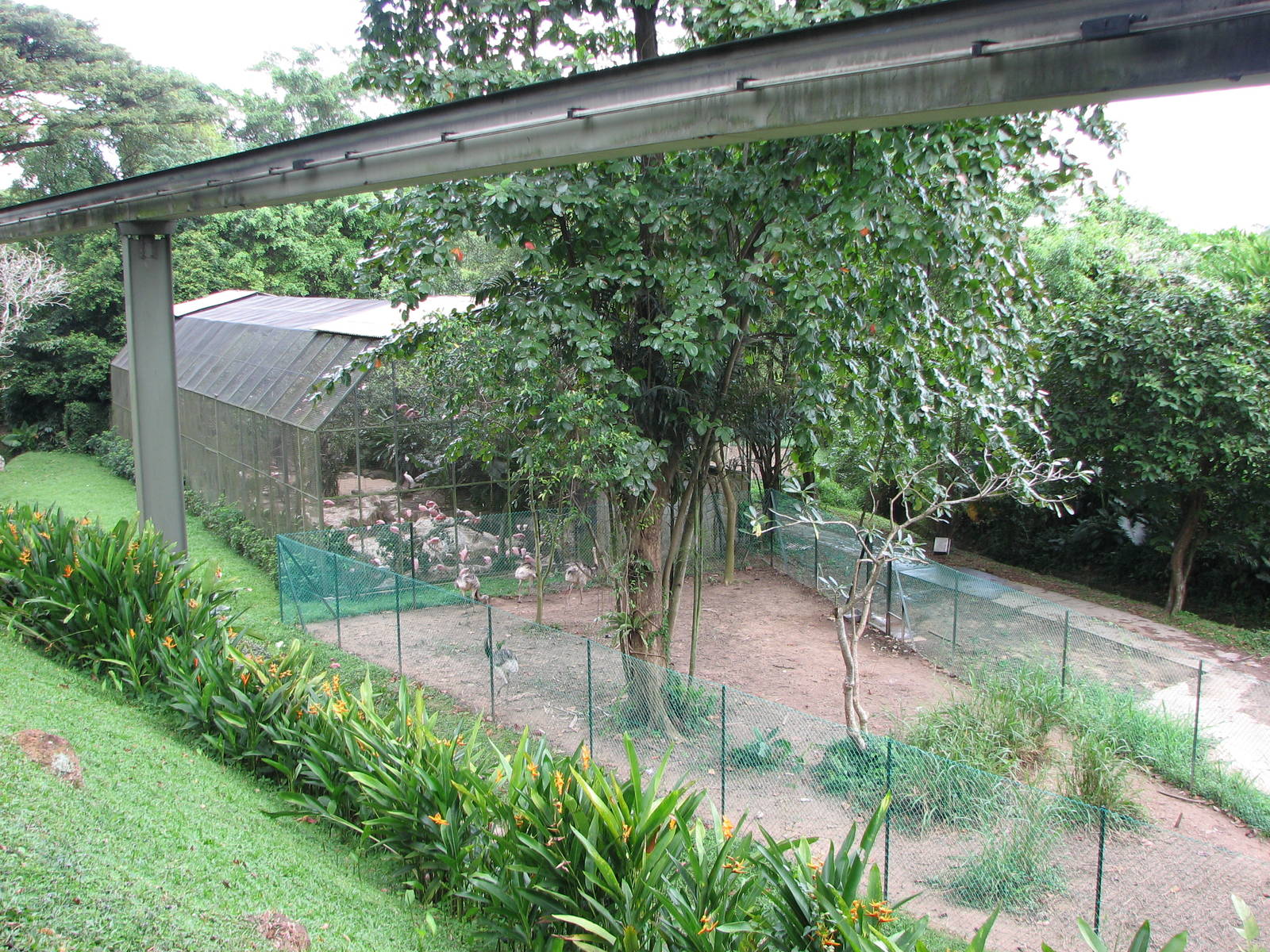 Jurong Bird Park 2008 - Common Rhea enclosure and Monorail line