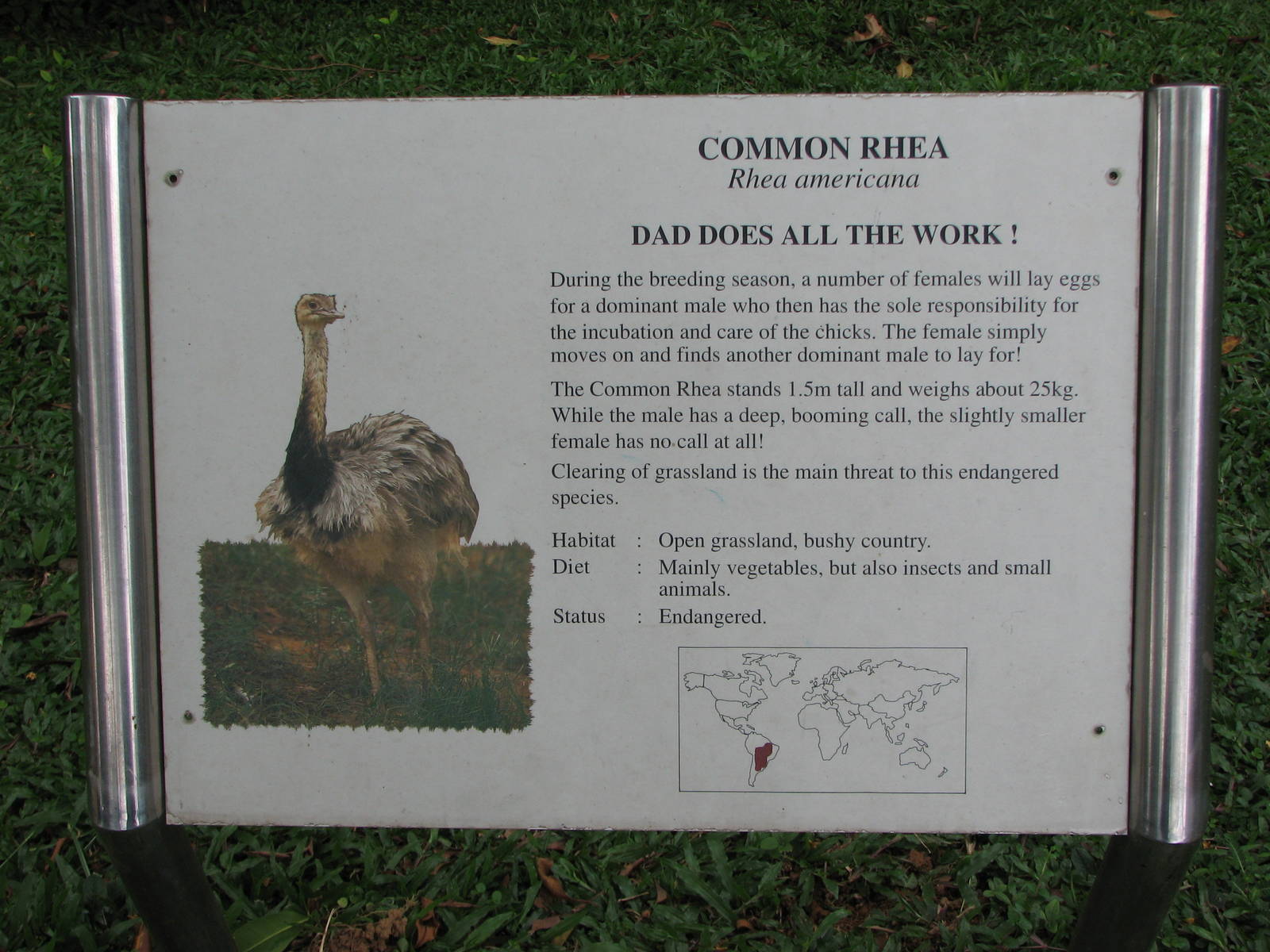 Jurong Bird Park 2008 - Common Rhea enclosure label