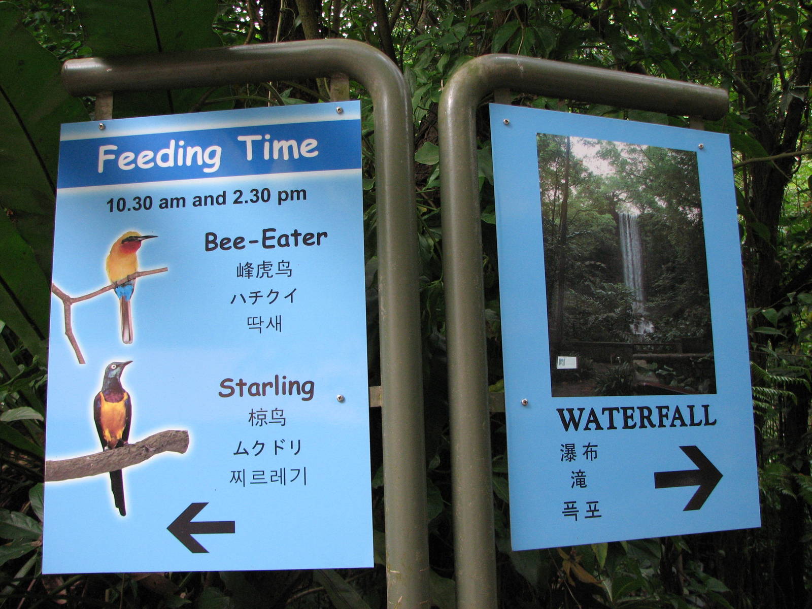 Jurong Bird Park 2008 - Feeding time label in the Waterfall Aviary
