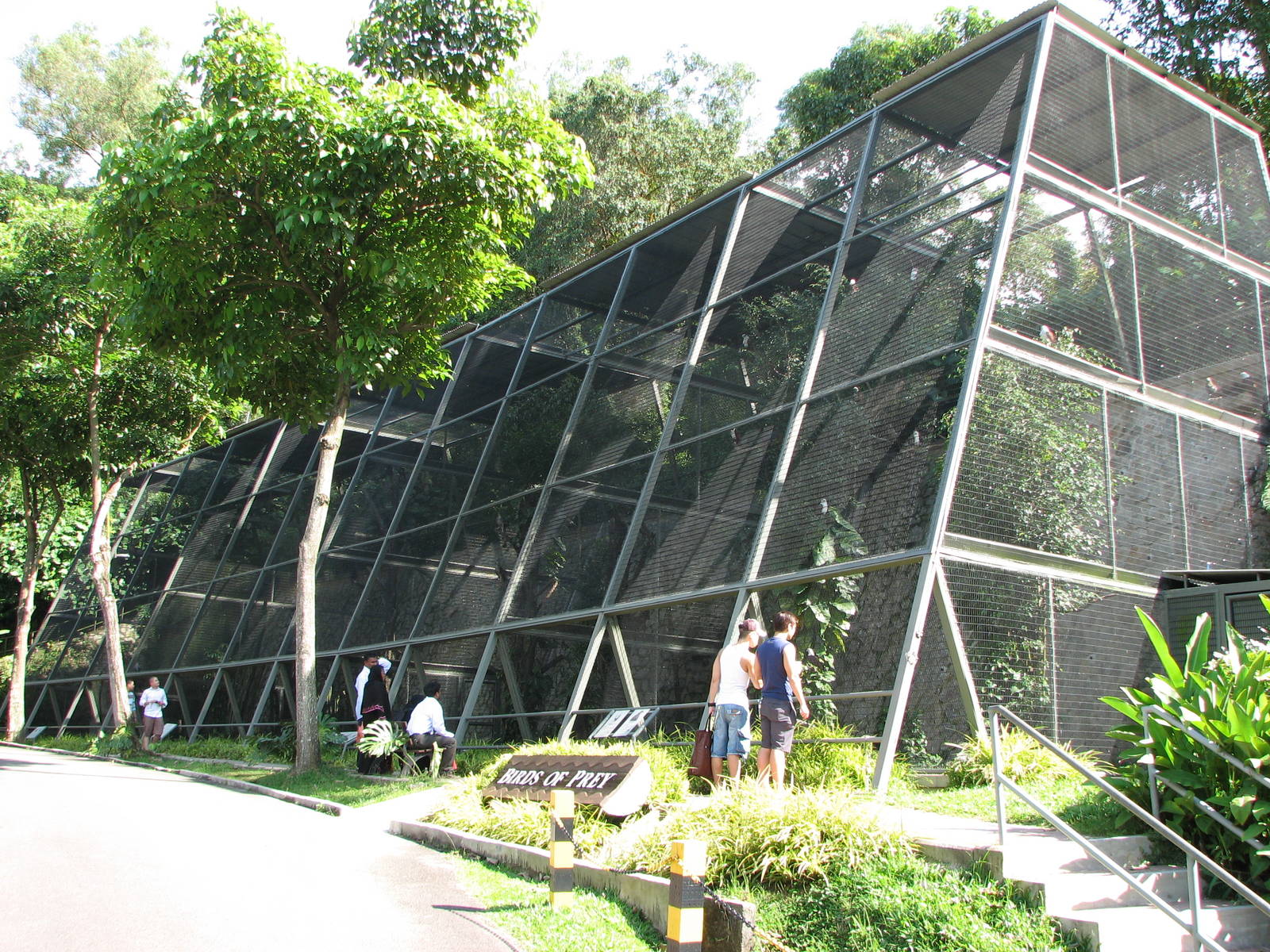 Jurong Bird Park 2008 - First Birds of Prey row