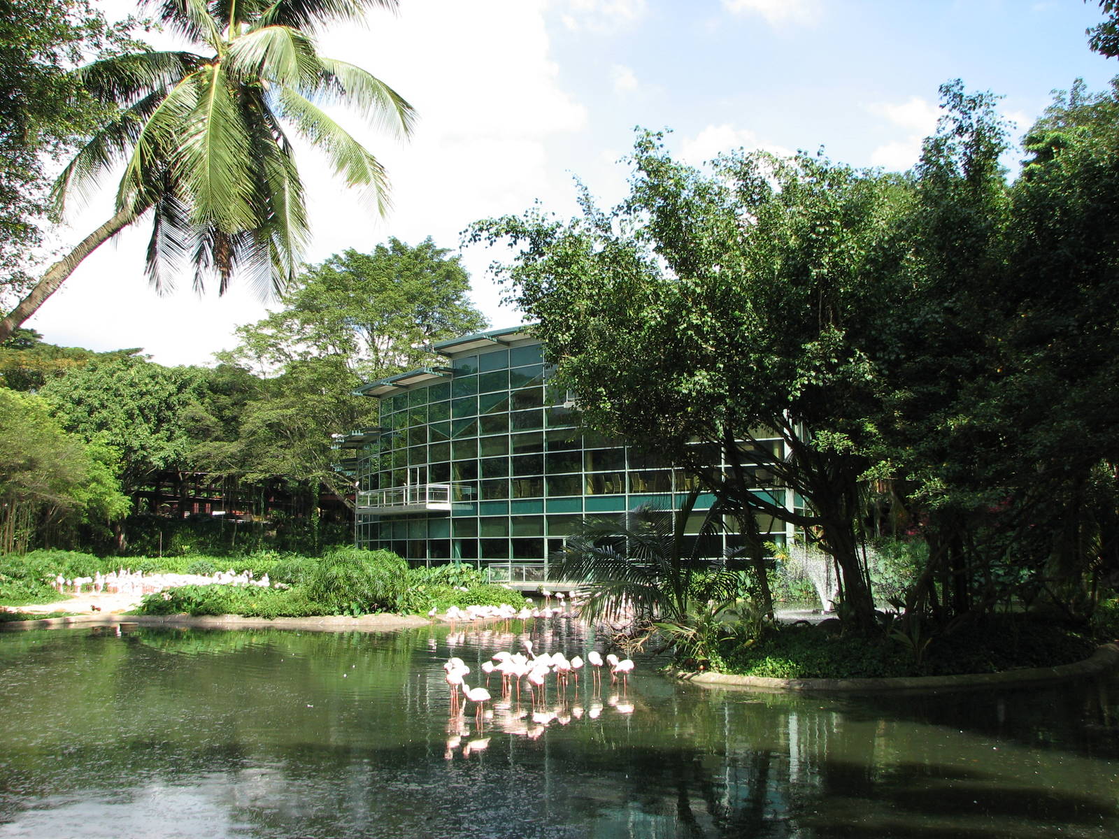 Jurong Bird Park 2008 - Flamingo Lagoon