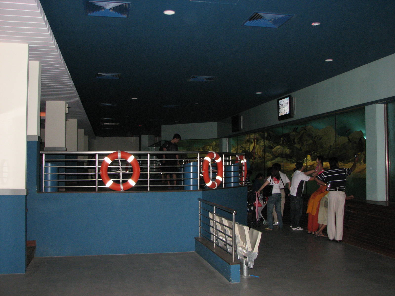 Jurong Bird Park 2008 - Inside the Penguin Expedition