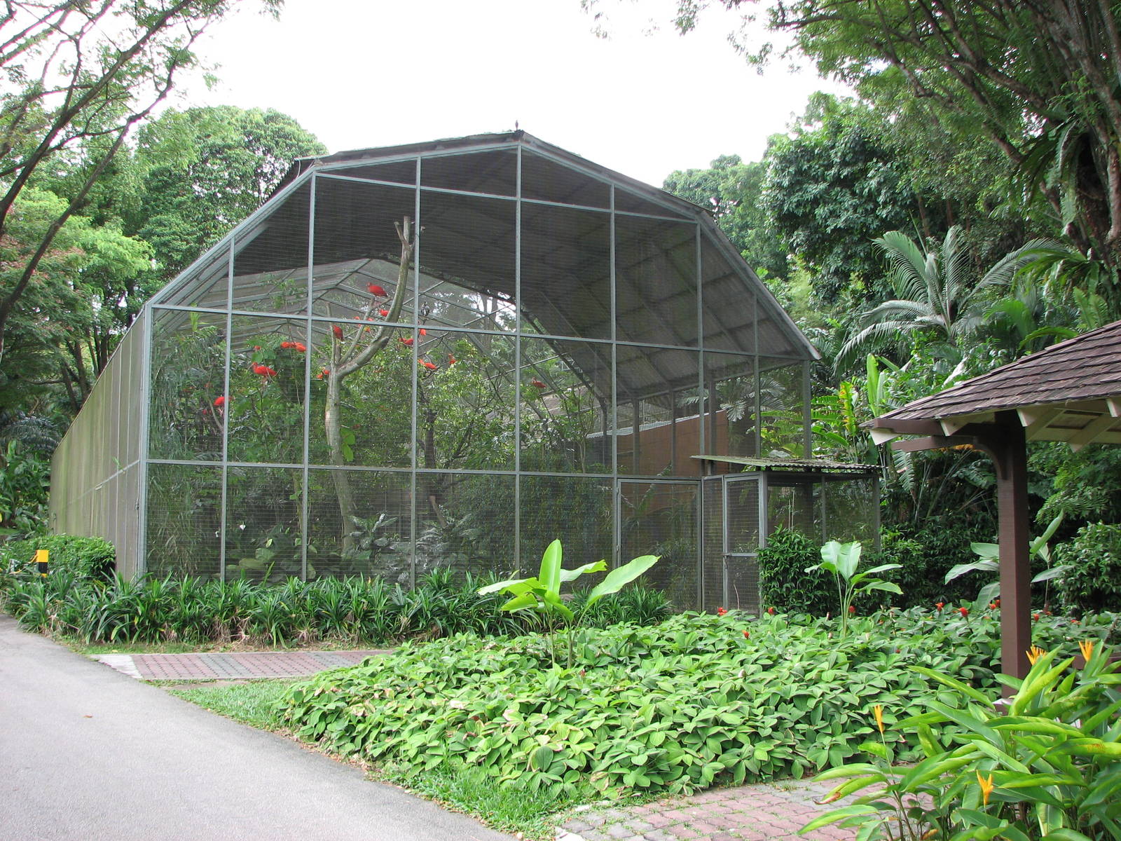 Jurong Bird Park 2008 - Scarlet Ibis enclosure
